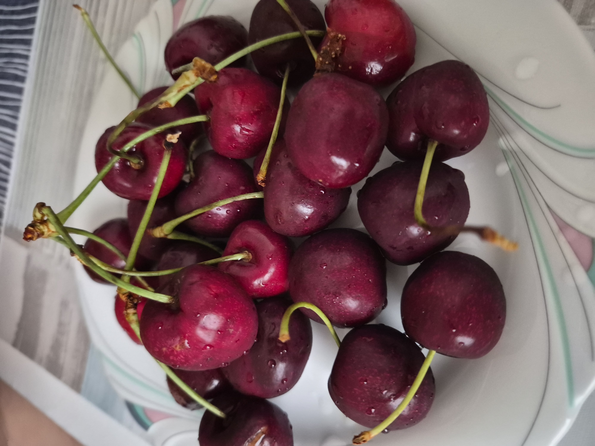 A close-up, overhead shot displays a pile of dark red cherries with stems on a white plate. The plate has a decorative rim with subtle wavy lines in light green and pink. The cherries are glistening with water droplets, indicating they are fresh and recently washed. Some stems are long and green, while others are shorter and appear dried. The background is out of focus, showing a glimpse of a striped tablecloth and a light-colored surface. The lighting is natural, casting soft shadows on the cherries and the plate. There are no people or discernible activities taking place in the image; it is a still life focused on the fruit.