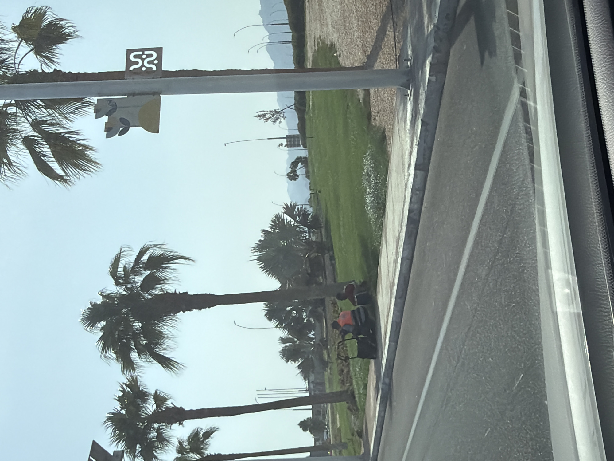 In Sharm El Sheikh, Egypt, a street view captures a paved road with a white dividing line, bordered by a concrete curb and a sidewalk. Beyond the sidewalk, a grassy area is dotted with palm trees and other vegetation. Two individuals are seated on the ground near a black cart. One person is wearing a bright orange vest. A lamppost with decorative elements, including what appears to be a stylized image of a castle and plants, stands near another lamppost displaying Arabic script. The background reveals a treeline and distant mountains under a clear sky.