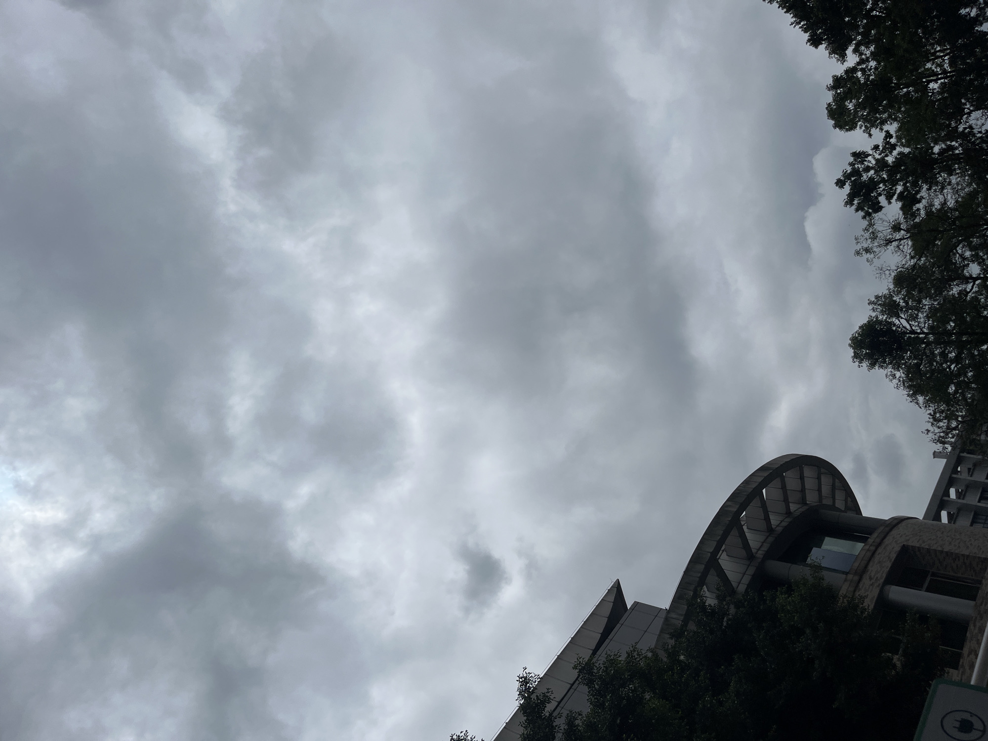 This media file presents an upward-looking view of a heavily overcast, cloudy sky, partially framed by architectural structures and dark green foliage in Yuzhong District, China.
The sky occupies the majority of the frame, filled with thick, diffused grey clouds that suggest an overcast or potentially rainy day. No direct sunlight is visible.
In the bottom right section and extending along the right edge, dense, dark green tree canopies are visible, obscuring parts of the sky and contributing to the urban natural element. Below these trees and towards the bottom right corner, a distinctive building with modern architecture is prominent. It features a large, arched structure, possibly a decorative canopy or roofline, with visible support beams or slats underneath its curve. Adjacent to this, the building showcases textured surfaces and windows that reflect the cloudy sky. Further to the left and slightly below this arched structure, another building section with sharp, angular lines and a dark, possibly metallic, facade can be seen.
No people or specific activities are observable. The scene is static, focusing on the interplay between the dense cloudscape and modern urban structures. In the bottom right corner, a small circular sign is barely visible, featuring a white background with a black electric plug symbol, typically denoting an electric vehicle charging station. The time of day appears to be daylight, given the overall illumination, but the heavy cloud cover creates a muted, even light.