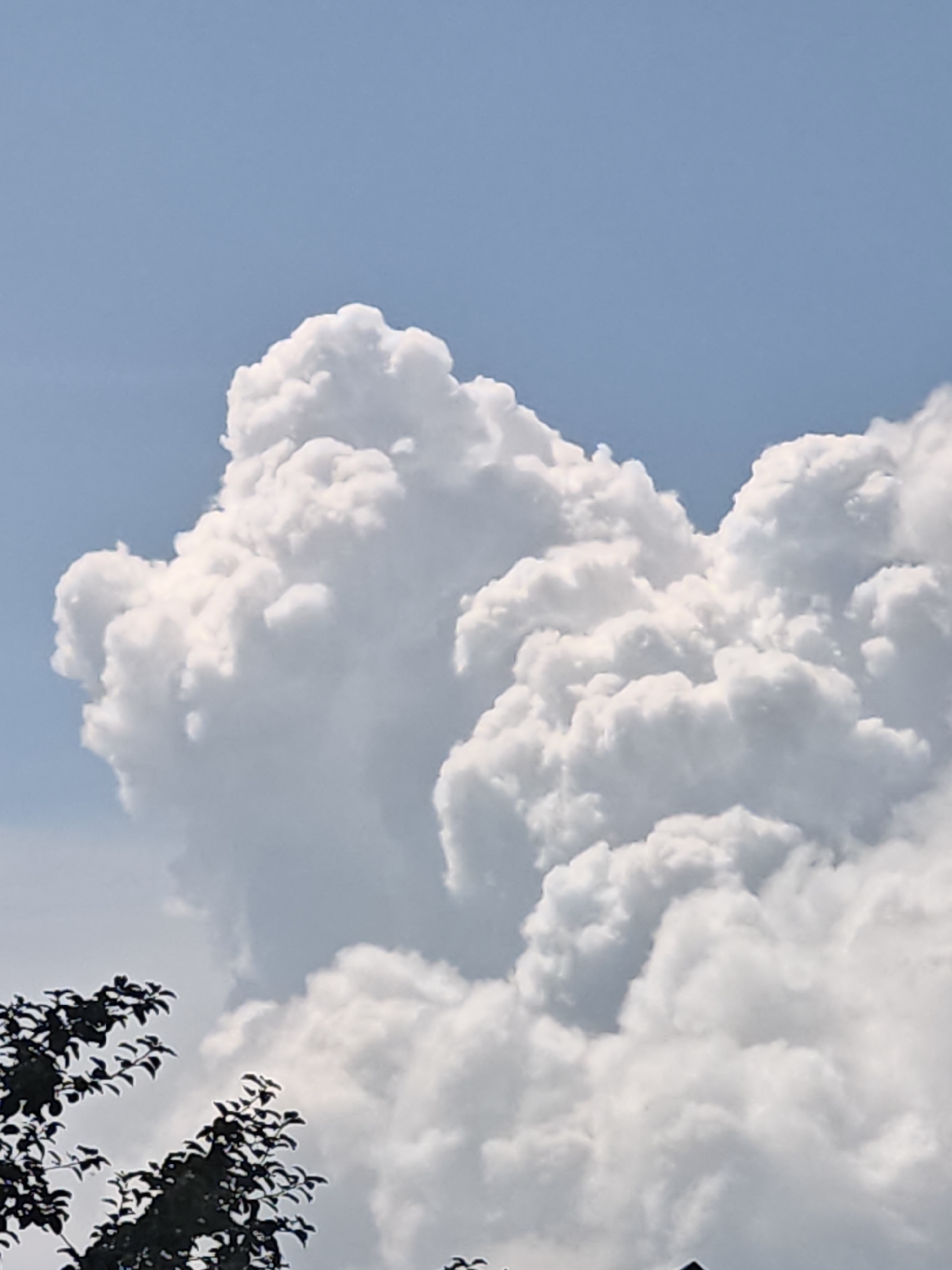 The image shows a sky filled with large, fluffy white clouds against a clear blue sky. In the foreground, the dark silhouette of tree branches with leaves is visible at the bottom left and bottom center of the frame. There are no people, buildings, or any discernible urban features that would suggest a specific location within the city of Shcherbinka, Russia. The scene is entirely focused on the natural elements of the sky and trees.