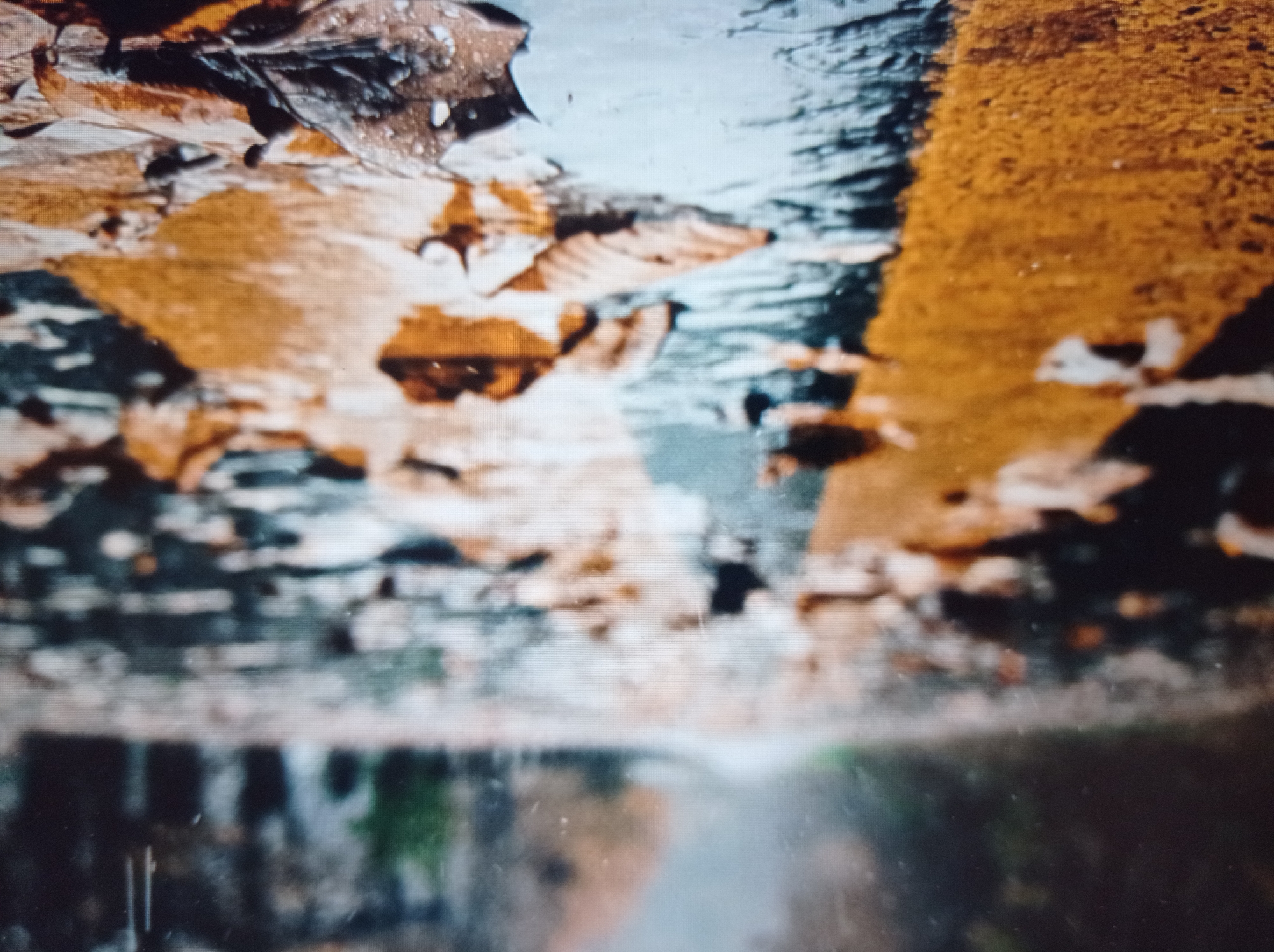 The image depicts a wet, paved road, likely in a city setting, with fallen leaves scattered across its surface. The road appears to have a yellow line marking a lane. The background is blurred, suggesting a shallow depth of field or possibly atmospheric conditions like rain or fog, with hints of greenery and a structure resembling trees or buildings. The overall impression is one of an autumnal scene on a damp day. The location of Mukachevo, Ukraine is not discernible from the visual elements of the image alone.