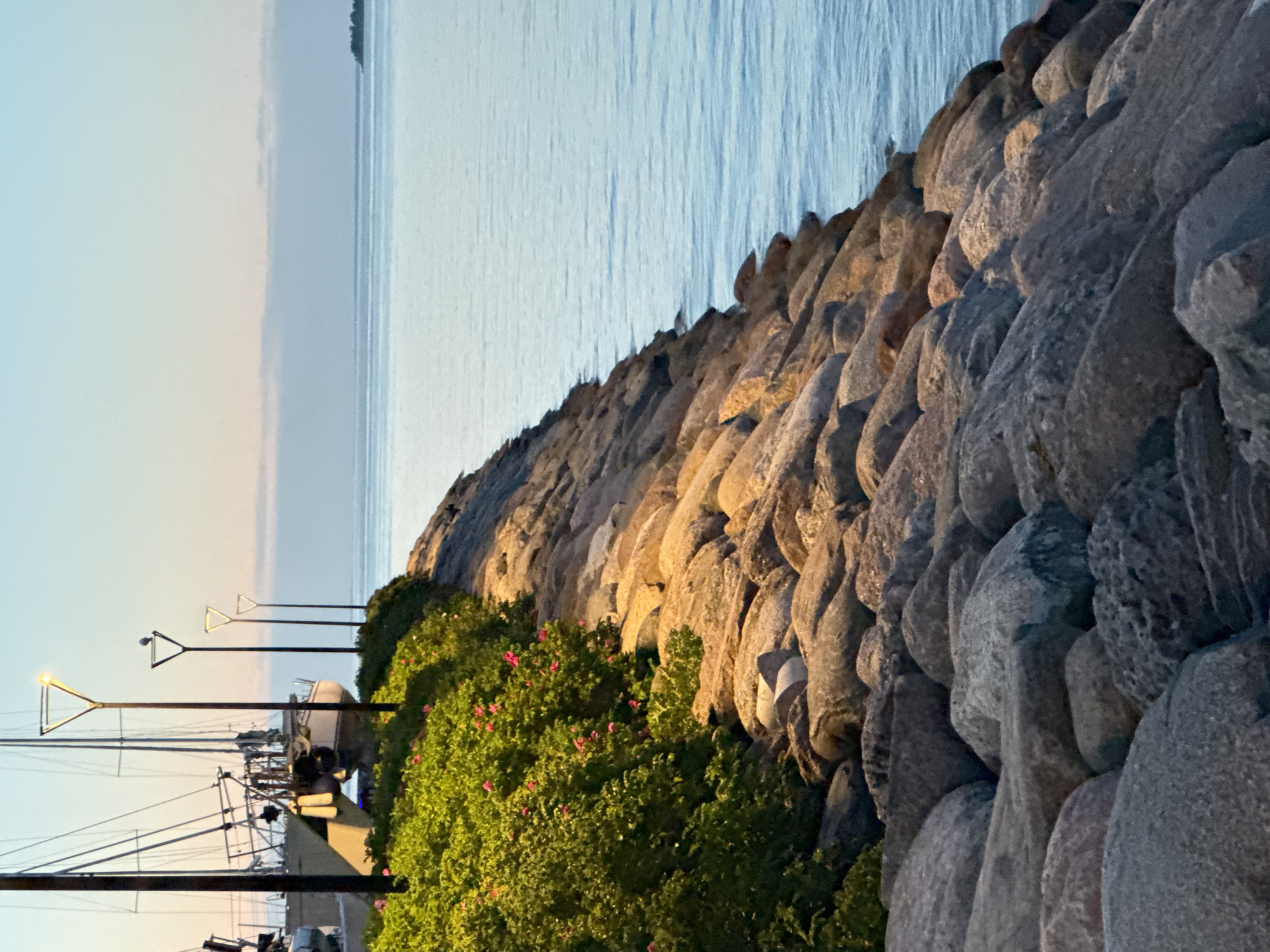 This detailed photograph depicts a serene coastal scene in Tallinn, Estonia, during either dawn or dusk, characterized by soft, ambient light. The foreground features a substantial breakwater constructed from numerous large, irregularly shaped boulders, predominantly grey and brown, which extend diagonally from the lower left towards the mid-right, meeting the water's edge. The rocks on the upper section of the breakwater exhibit a warm, golden illumination, while those in the lower left foreground are darker and in shadow.
Along the crest of the rocky embankment on the left, a dense band of lush green bushes with small, vibrant pink flowers is visible. Behind this vegetation, a line of five slender, black streetlights, each featuring a distinctive triangular light fixture, extends into the midground. The lights are illuminated, emitting a warm yellow glow. A small white bird is perched atop the triangular fixture of the second streetlight from the left.
On the far left, behind the vegetation and streetlights, several sailboats are docked. A prominent white sailboat with multiple masts and rigging is visible. The calm, light blue-grey water of the sea occupies the right half of the image, showing subtle ripples and reflecting the sky.
The background presents a clear horizon separating the water from a sky that gradually transitions from pale blue at the top to a very light, warm orange tint near the horizon. A faint, low-lying cloud bank is visible across the sky just above the horizon. In the far distance on the right, a small, dark, tree-covered landmass or island protrudes from the water.