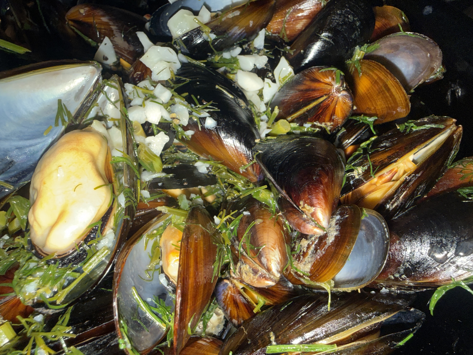 This is a close-up, overhead, forensic photograph of a pile of cooked mussels. The mussels are in their dark brown shells, some of which are open, revealing the pale orange flesh within. They are mixed with chopped white ingredients, possibly garlic or onion, and strands of green herbs or seaweed. The overall texture is moist and glistening. The photograph is tightly cropped and shows no surrounding environment, including any specific location in Sozopol, Bulgaria. No people, actions, or interactions are visible.