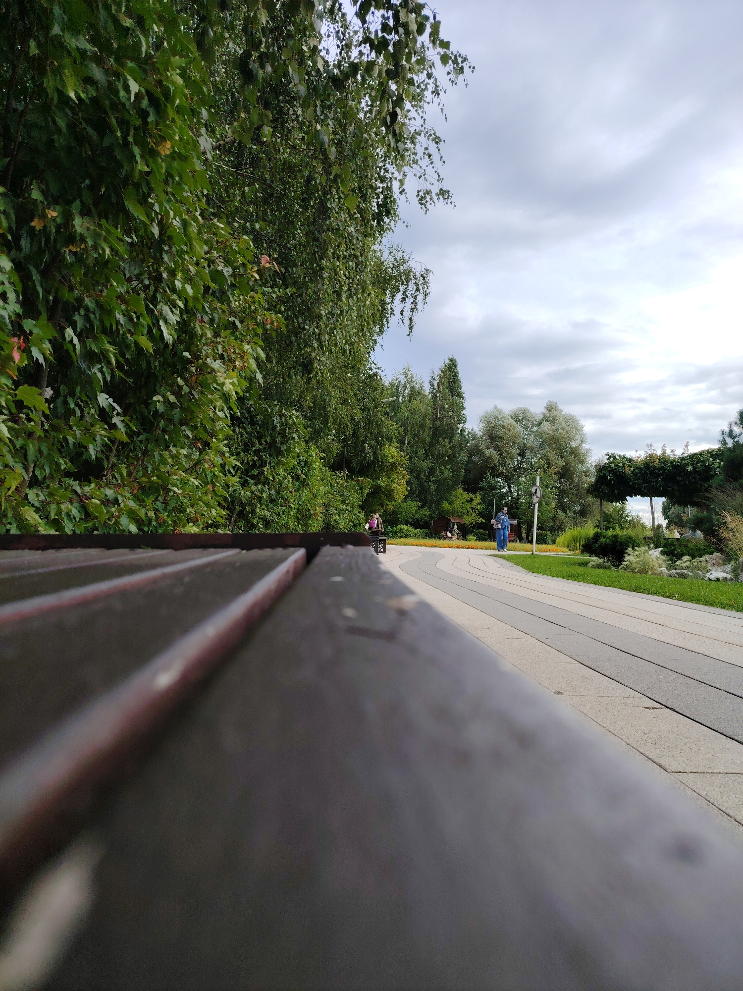 The image depicts a park in Zelenograd, Russia, captured from the perspective of a dark wooden bench in the foreground. The bench occupies the lower left quadrant of the image and is sharply in focus. Beyond the bench, a paved pathway with a striped pattern extends into the distance, curving gently to the right.
Along the left side of the pathway, dense green foliage from trees and shrubs creates a verdant wall. Further into the park, various trees with different foliage types are visible, interspersed with grassy areas and ornamental plants. The sky above is overcast with soft, gray clouds.
In the mid-ground, two individuals are walking on the pathway. One person, wearing a blue jacket and jeans, is walking away from the camera. Another individual, wearing a pink backpack, is walking towards the camera on the far left side of the pathway. The overall scene suggests a peaceful, daytime setting in a well-maintained urban park.