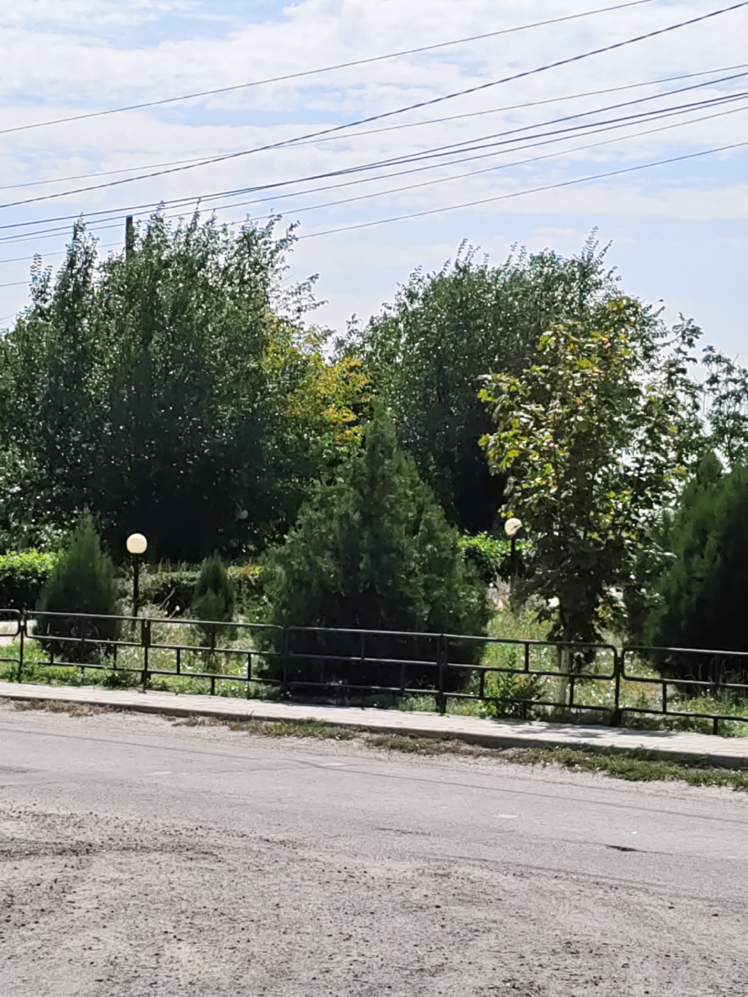 The image shows a street scene in Pukhlyakovskiy, Russia. In the foreground is a paved road with some gravel and dirt. A black metal fence runs along the edge of the road, separating it from a landscaped area. Behind the fence are several evergreen trees and some deciduous trees with green and yellow leaves. There are two round, white streetlights visible among the trees. Overhead, power lines stretch across the sky, which is partly cloudy. The overall impression is of a quiet, residential street in a park-like setting.