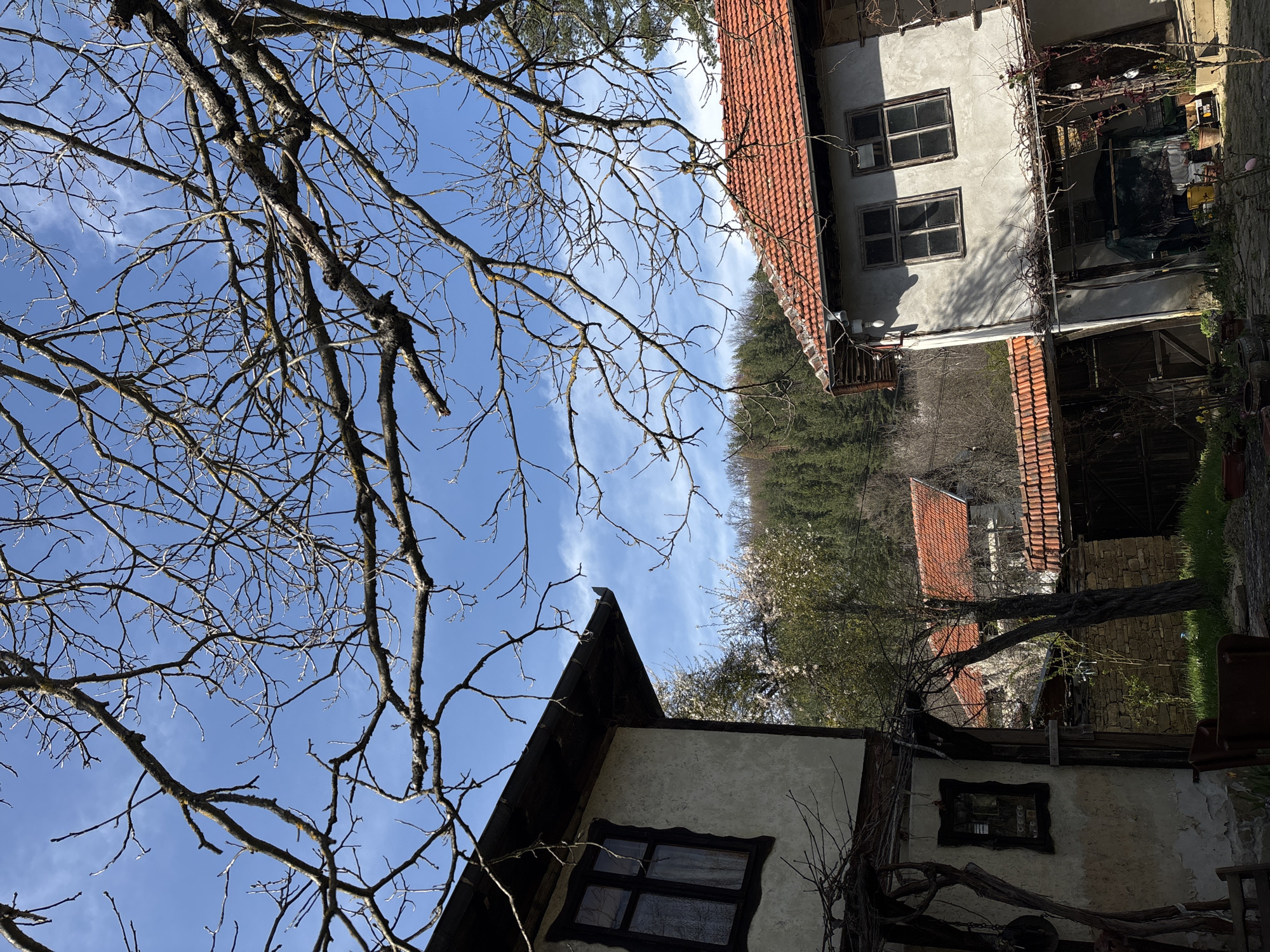 The image shows a view in Gorno Trape, Bulgaria. The sky is visible with a few clouds. Leafless tree branches are present in the foreground. In the background, there are buildings with red tile roofs. There's a forested area with green trees. The buildings have light-colored walls with dark window frames. There appears to be foliage growing on some of the structures.