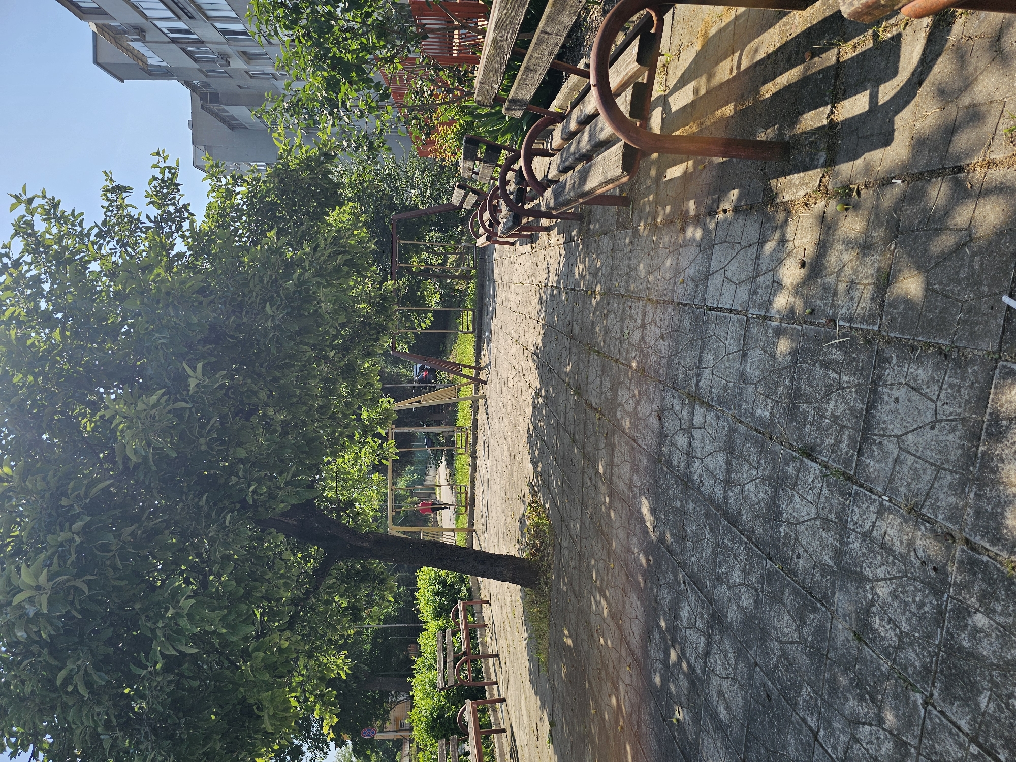 This image depicts an outdoor urban recreational space, likely a small park or courtyard, located in an unknown city. The scene is captured on a clear, sunny day, evidenced by strong illumination and distinct, elongated shadows suggesting a morning or late afternoon sun angle.
In the immediate foreground, the ground is covered with grey concrete paving stones, many showing signs of wear, cracks, and sparse grass growth between the irregular geometric patterns. Small green, presumably unripe, fruits or nuts are scattered on the paving under a tree.
Moving further into the mid-ground, a large, mature deciduous tree with a dark trunk stands prominently on the left, casting significant shadow across the paved area. To the left of this tree, two empty wooden benches with dark reddish-brown metal frames are positioned along the paved edge, facing the center of the space. To the right, a row of three, possibly four, similar empty wooden benches with matching reddish-brown metal frames extends along the right side of the paved path. These benches appear weathered.
Behind the central tree and benches, a children's playground area is visible, featuring a metal swing set with at least two swings. A single individual, dressed in a red long-sleeved top and dark trousers, is standing or walking near the swing set, with their back partially turned towards the camera. They appear to be an adult. The ground around the playground equipment is grassy and unpaved.
In the background on the left, dense green bushes obscure further details, though a circular red and white traffic sign is partially visible above them. On the far right background, a multi-story residential building, constructed of light grey concrete or stucco, dominates the skyline, featuring multiple windows and several external air conditioning units. A reddish-brown fence or railing runs along the perimeter between the benches and the building. The sky above is clear and blue.