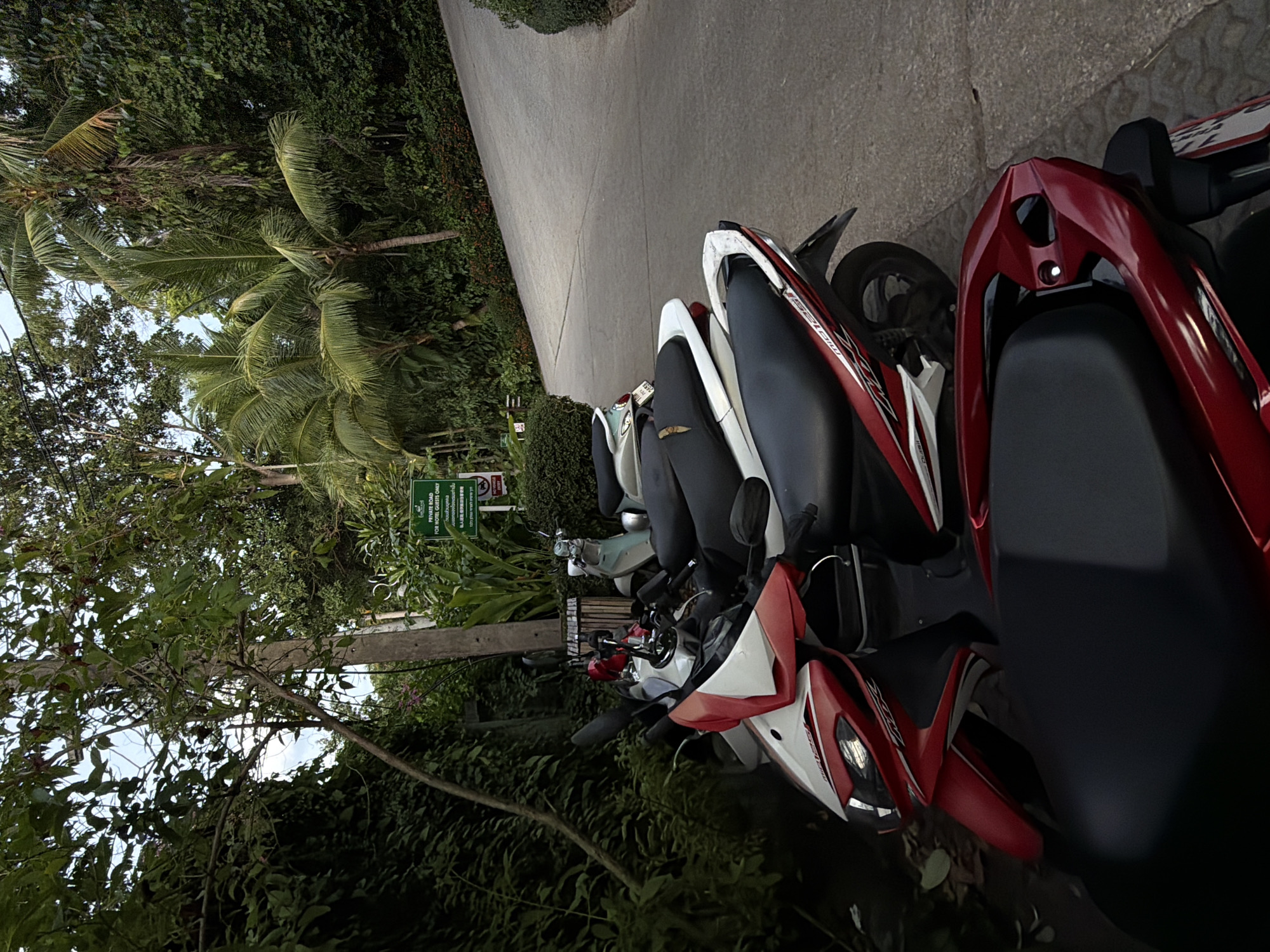 A paved road curves to the right through a lush, tropical environment. On the left side of the road, several parked scooters are visible. The scooters are a mix of red and white, and light blue and silver. One scooter in the foreground is red with white accents, and its front is pointed towards the left. Another red scooter with a black seat is in the extreme foreground, its rear end visible. Behind these, a light blue and silver scooter is parked, followed by another white scooter. A green sign is mounted on a pole to the left of the road, and it reads "PRIVATE ROAD FOR HOTEL GUESTS ONLY" in English, Thai, and Chinese. The environment is densely vegetated with various trees and foliage, including palm trees. The lighting suggests it is late afternoon or early evening.