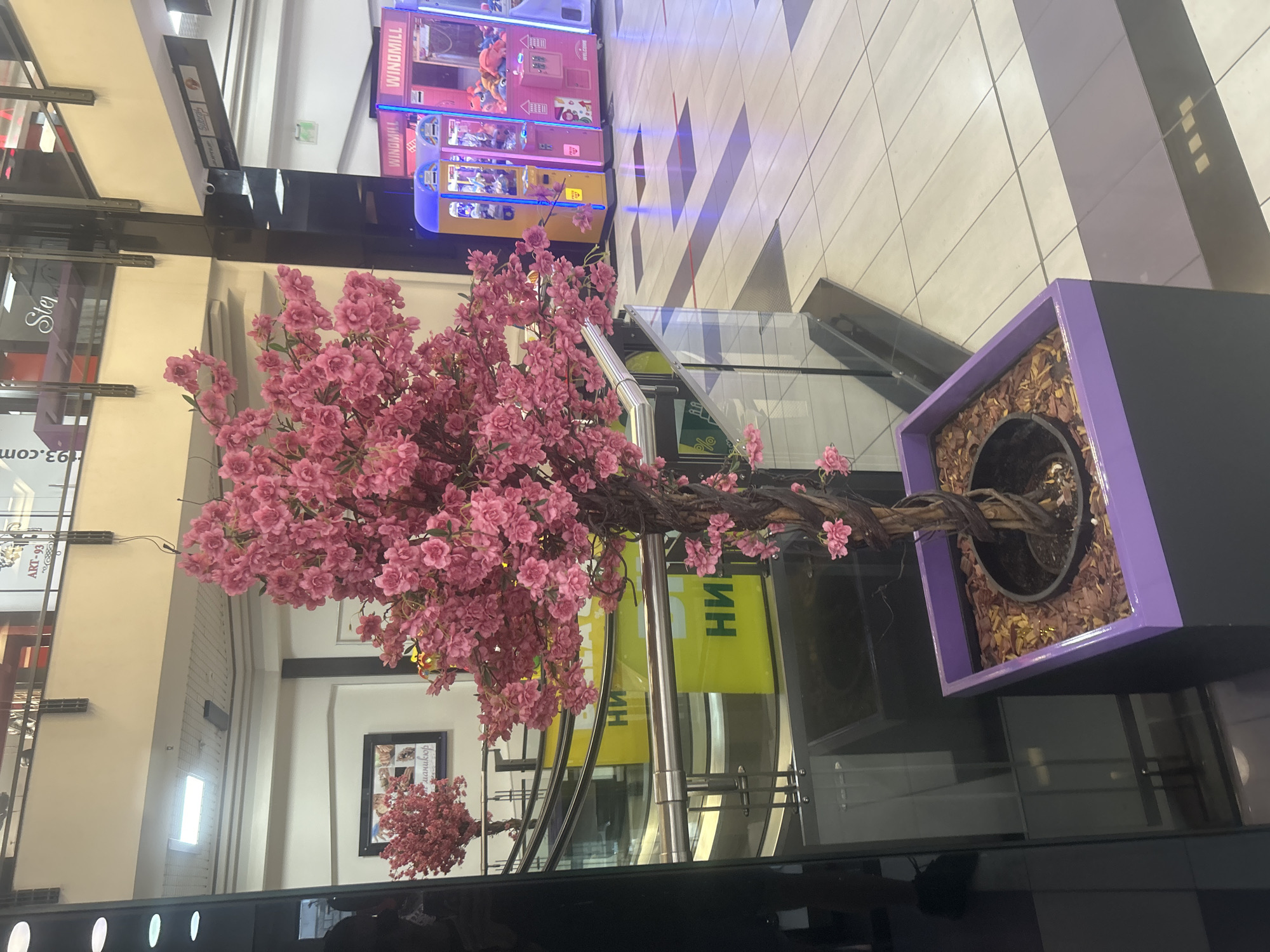 The image depicts an indoor scene, likely a shopping mall or commercial building in Pleven, Bulgaria.
**Objects:**
* A decorative artificial tree with pink blossoms is prominently featured, placed in a modern square pot with a purple rim.
* A claw machine arcade game is visible in the background.
* Glass railings and structural pillars are present, reflecting the environment.
* A black reflective surface at the bottom of the image.
* Advertising signage is visible.
**Environment:**
* The setting is an indoor, multi-level commercial space with tiled flooring.
* The lighting is bright and artificial.
**Actions/Interactions:**
* There is no observable action in the frame. The scene appears to be a static display.
**Additional details:**
* The presence of the artificial tree suggests an attempt to create an aesthetic or welcoming atmosphere.
* The reflection in the black surface indicates the area is relatively clean and well-maintained.