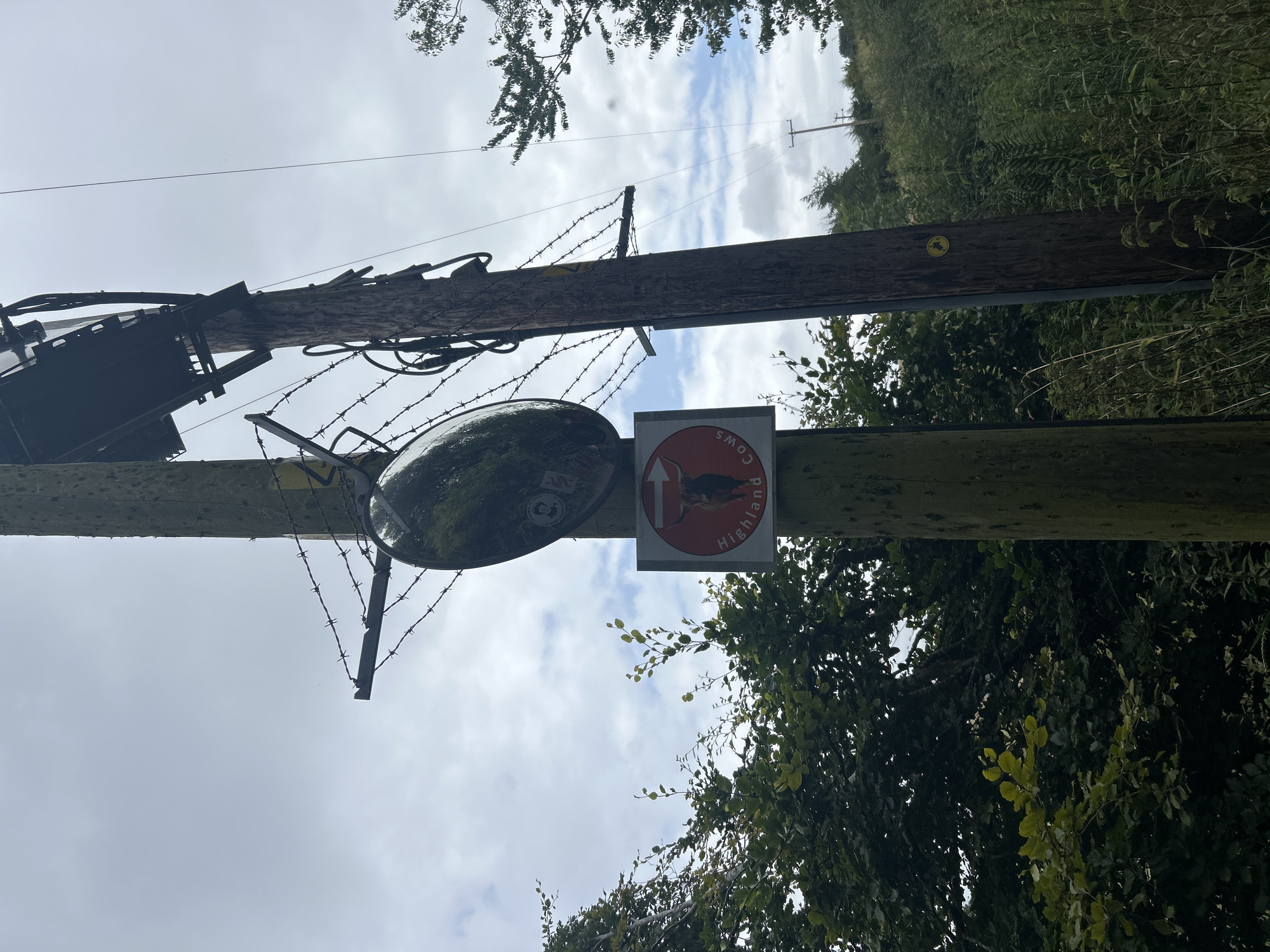In the City of Edinburgh, United Kingdom, a rural scene is depicted with a focus on utility poles and signage. Two wooden utility poles stand prominently. The left pole is thinner and appears weathered, while the right pole is thicker and also weathered, with a gray sleeve at its base. Barbed wire is strung between brackets attached to both poles, suggesting a boundary or warning. A large, convex mirror is mounted on the left pole, reflecting the sky and surrounding trees. Below the mirror, a circular red sign with a white border is affixed to the left pole. This sign features an illustration of a Highland cow and the text "Highland Cows" in white lettering. To the right of this sign, a red and white directional arrow indicates movement to the left. A smaller yellow circular sticker with a silhouette of a walking figure is present on the right pole, approximately one-third of the way up. Overgrown vegetation, including lush green trees and tall grasses, surrounds the utility poles, indicating a natural or semi-rural environment. The sky is overcast with visible clouds.