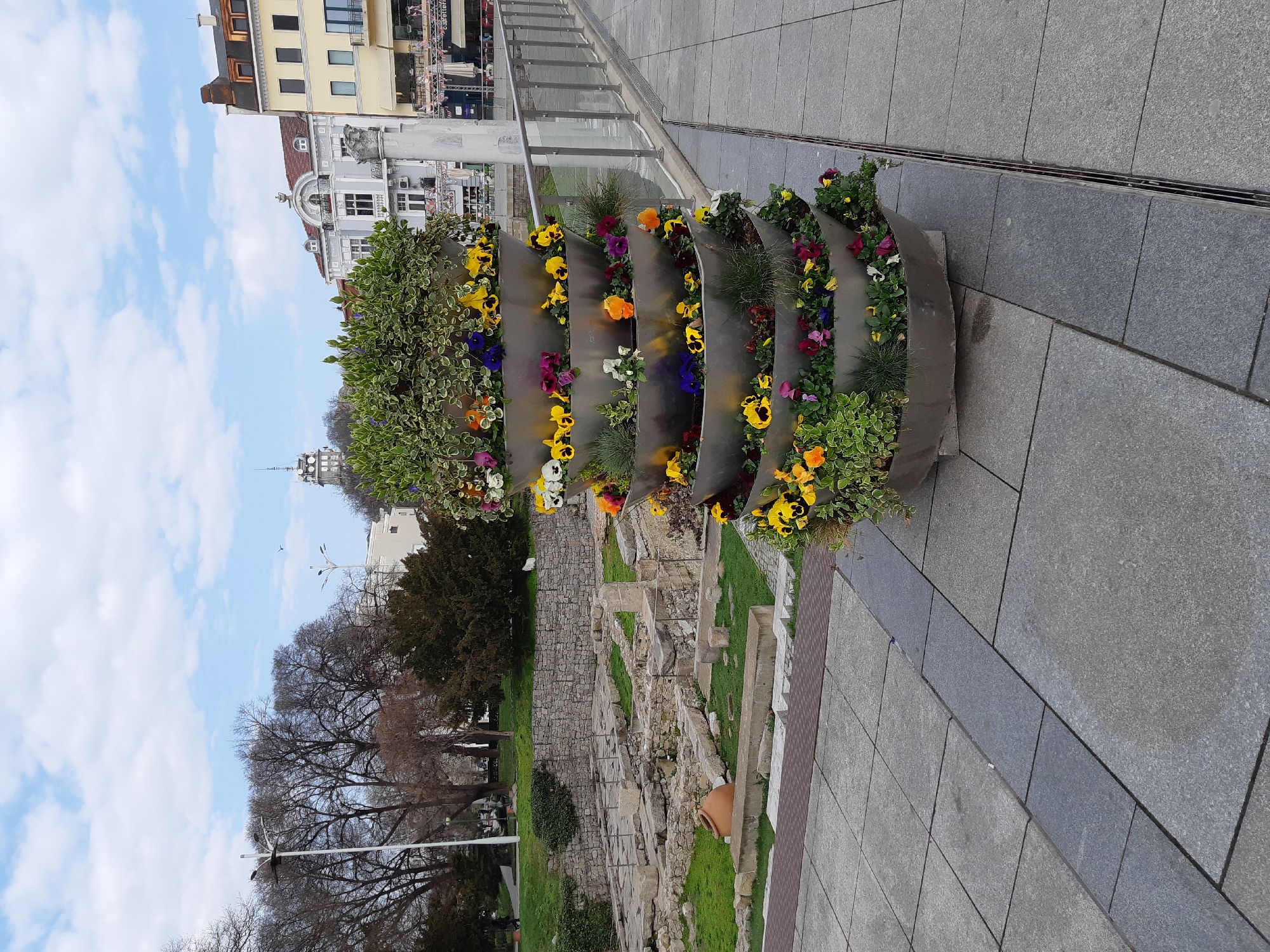 The image depicts a daytime outdoor scene in the city of Plovdiv, Bulgaria, specifically in the area of the Roman Stadium/Central Square.
In the foreground, a multi-tiered, five-level cylindrical planter made of brushed metal stands prominently on a light gray paved walkway. Each tier is filled with a variety of colorful pansies in shades of yellow, purple, orange, white, and red/pink, interspersed with green foliage. The paving consists of large rectangular light gray tiles, with a darker gray border strip and a metal drainage grate running parallel to the planter on the right.
To the left of the planter, and slightly recessed, are the excavated ruins of ancient structures, characterized by stone foundations, walls, and scattered blocks set within grassy patches. A large, intact terracotta amphora lies on the grass within these ruins. Beyond the ruins, a sloping green lawn leads to a park area with numerous deciduous trees, mostly bare-branched, and some evergreen shrubs. A tall, white street lamp is visible on the left side, and indistinct human figures can be observed walking in the distant park.
In the midground on the right, a modern security railing with glass panels and a metal handrail separates the paved area from a slightly lower level. Beyond this railing, a street or pedestrian zone with several multi-story buildings is visible. These buildings exhibit classical European architecture with varying facades, including light blue, yellow, and white, featuring windows, balconies, and decorative elements such as columns. One building has a large, ornate balcony with columns.
The background features a partial view of a distinctive clock tower or radio mast structure atop a distant hill (likely Sahat Tepe), positioned to the right of the bare trees. The sky above is partially cloudy, with scattered white cumulus clouds against a light blue expanse. A single bird is visible in flight in the upper-mid sky.