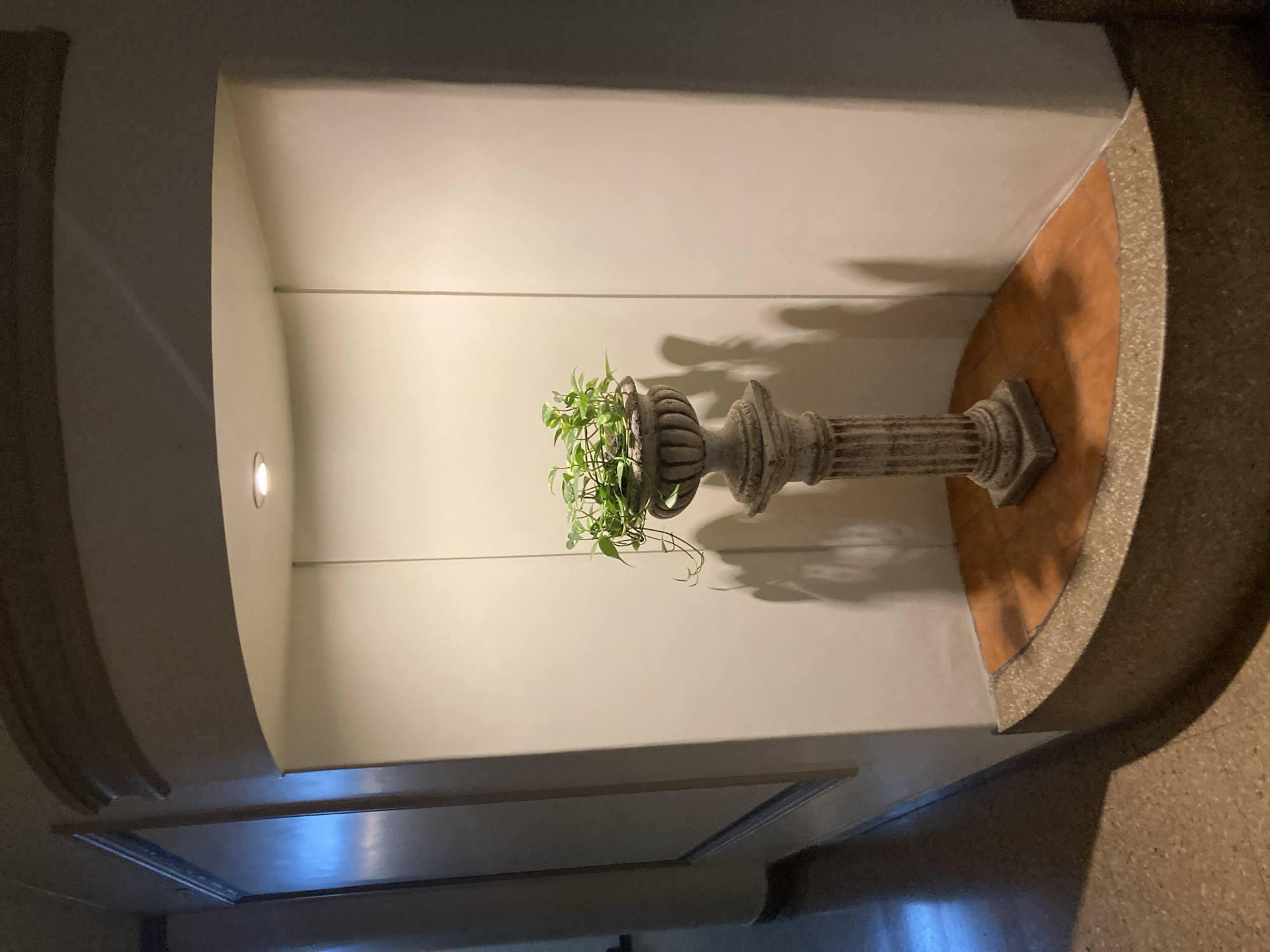 Here's a description of the image:
The image shows an indoor architectural alcove. The alcove is painted a light cream color, and it features an arched ceiling. At the back of the alcove, on a circular platform with a terracotta-colored tile surface, is a decorative gray stone pedestal topped with a planter holding green plants. A small recessed light is visible in the ceiling of the alcove. The lighting casts shadows of the pedestal and plant onto the back wall. The overall perspective suggests the photograph was taken from below, looking upward into the alcove. The location is Unknown, Unknown.