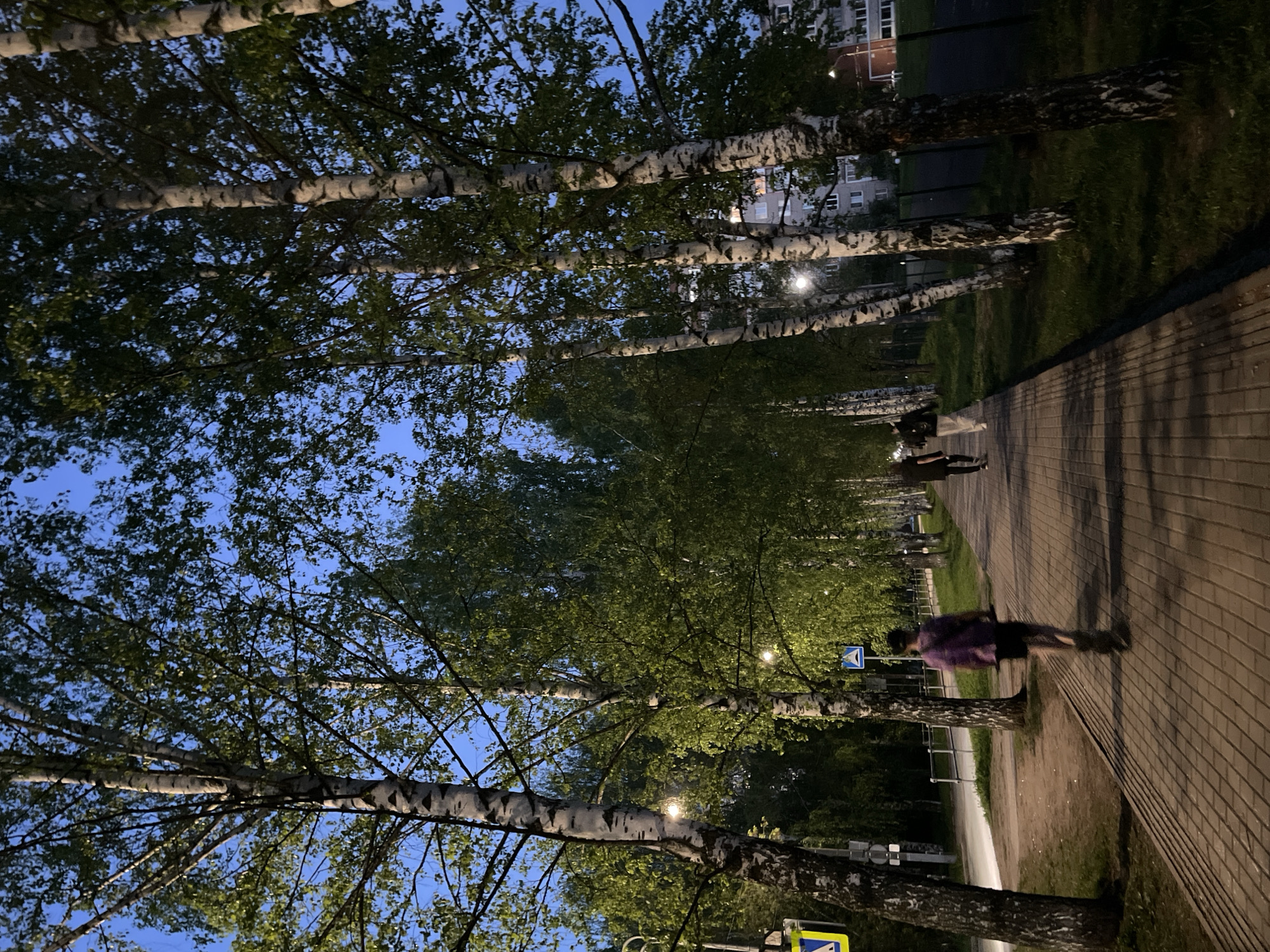 A sideways low-angle shot depicts a brick pedestrian walkway lined with birch trees in Izhevsk, Russia. The walkway is mostly empty except for two pedestrians. One is further down the path and the other is closer to the camera. The person closest to the camera is wearing a purple shirt and walking along the path. Streetlights are visible along the path. In the background, there is a residential building. The sky is a clear blue.