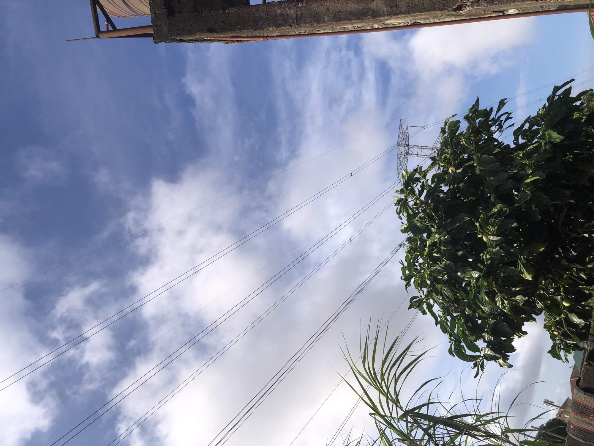 The image captures a scene under a partly cloudy sky, with several parallel power lines stretching across the frame. In the foreground, lush green foliage dominates the lower portion of the image, with a large, leafy tree in the center and taller, grass-like plants on the left. To the right, a weathered, concrete structure rises, topped with a water tank. In the distance, a large electrical pylon is visible, further emphasizing the presence of power infrastructure. The setting appears to be outdoors, likely in a residential or semi-urban area of Ado, Nigeria, given the combination of vegetation, power lines, and the type of concrete construction seen. There are no people or animals visible in the image.