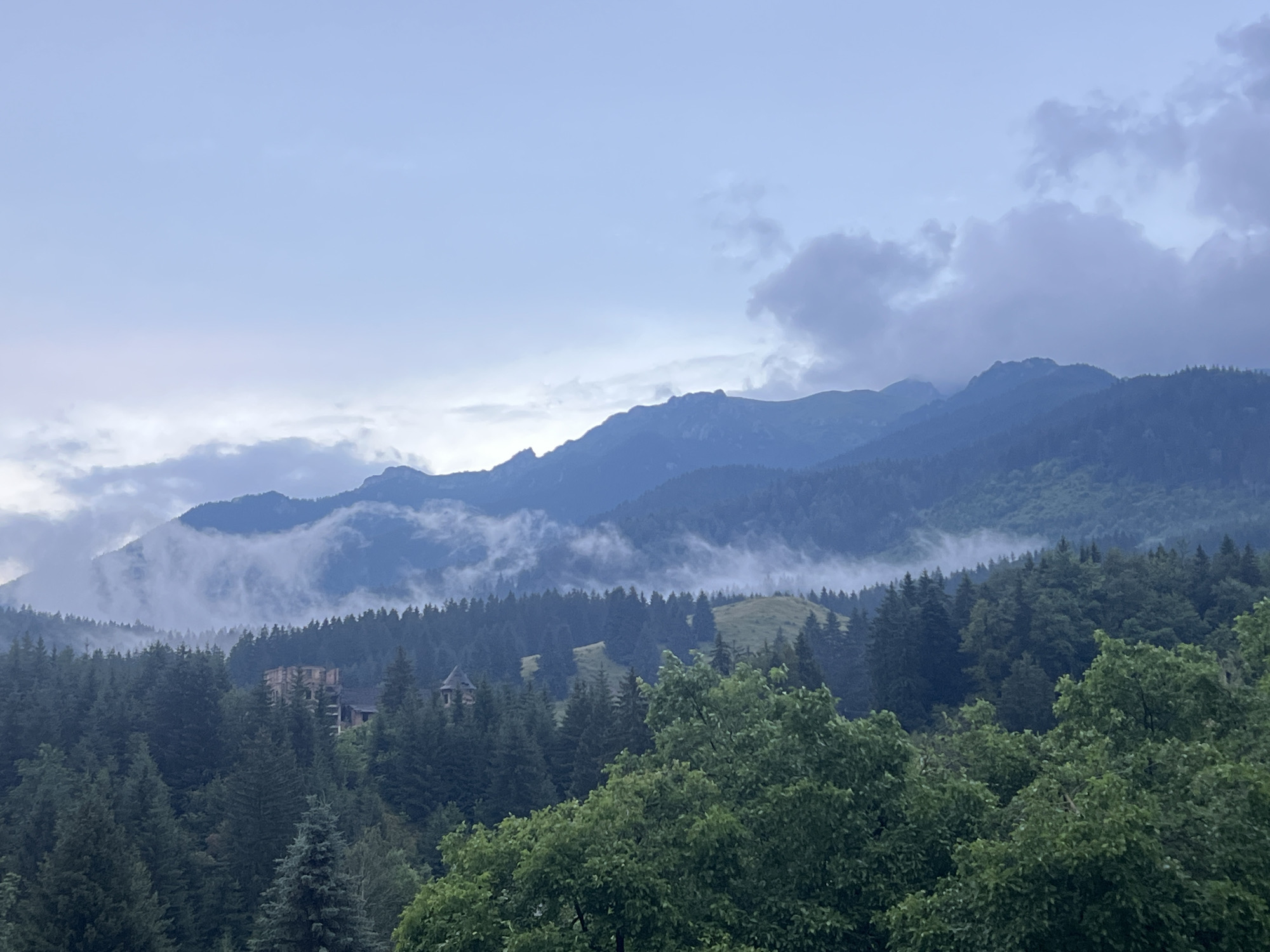 The image depicts a misty mountain landscape with dense evergreen forests. In the mid-ground, several abandoned or partially ruined buildings are visible, partially obscured by trees. One building appears to be a larger stone structure, possibly a castle or large house, while another is smaller and more turret-like. The sky is overcast with soft clouds, suggesting a cool or damp day. The overall mood is serene and somewhat melancholic, with a sense of mystery due to the ruins and the misty atmosphere. The time of day is likely morning or late afternoon, given the soft, diffused light. The scene is set in a mountainous region with a heavy forestation. No people or text are visible in the image.