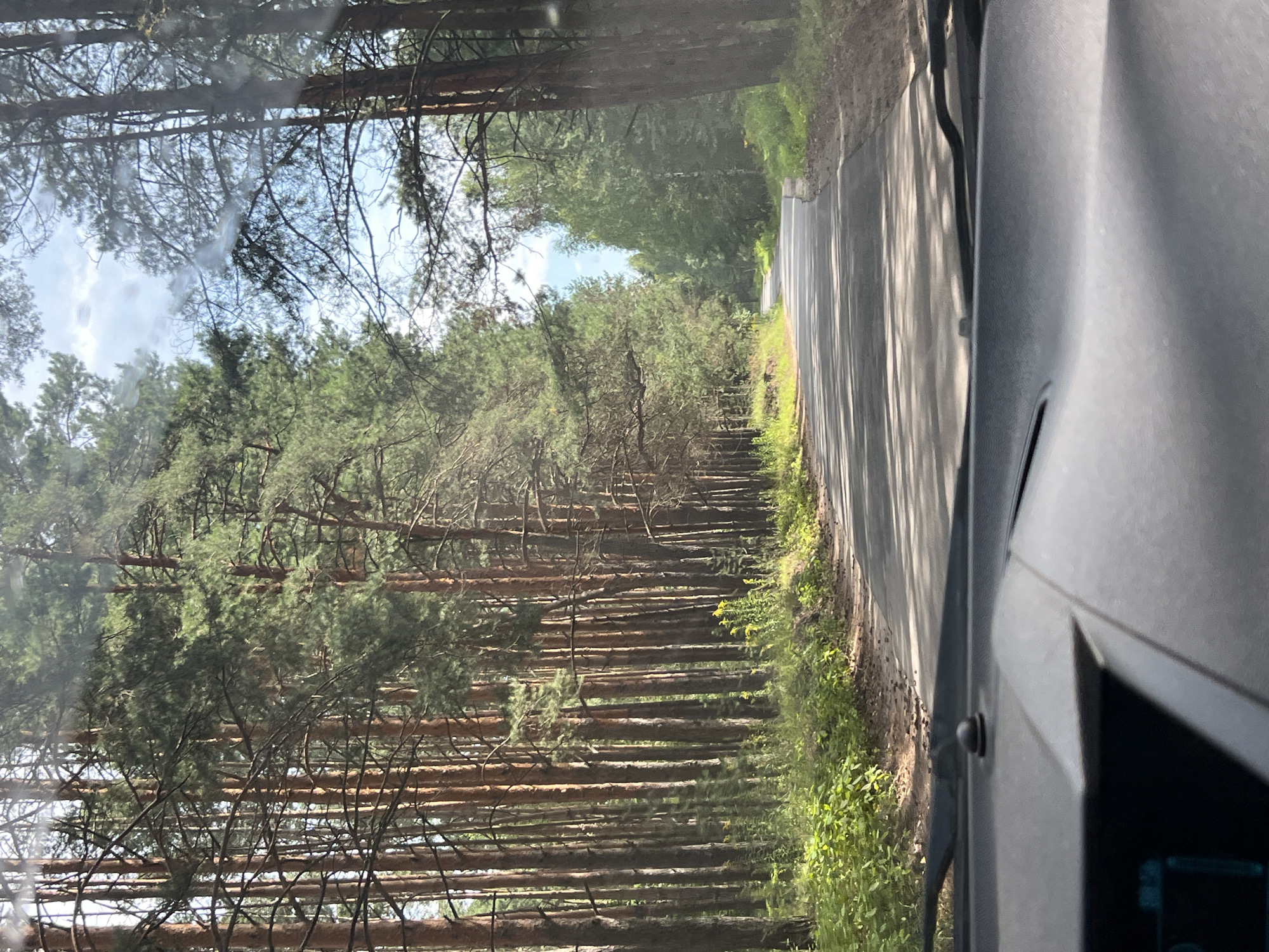 The image shows a view from inside a vehicle looking out through the windshield at a paved road winding through a pine forest. Tall, slender pine trees with brown bark line both sides of the road, with dense green foliage visible. The road surface is asphalt, and it is partly shaded by the trees overhead, casting dappled shadows. The sky is partly cloudy, with patches of blue. In the foreground, the dashboard of the vehicle is visible, including the windshield wipers and a small, dark, dome-shaped object mounted on the dashboard. The location is described as Unknown, Russia, suggesting a rural or remote setting.