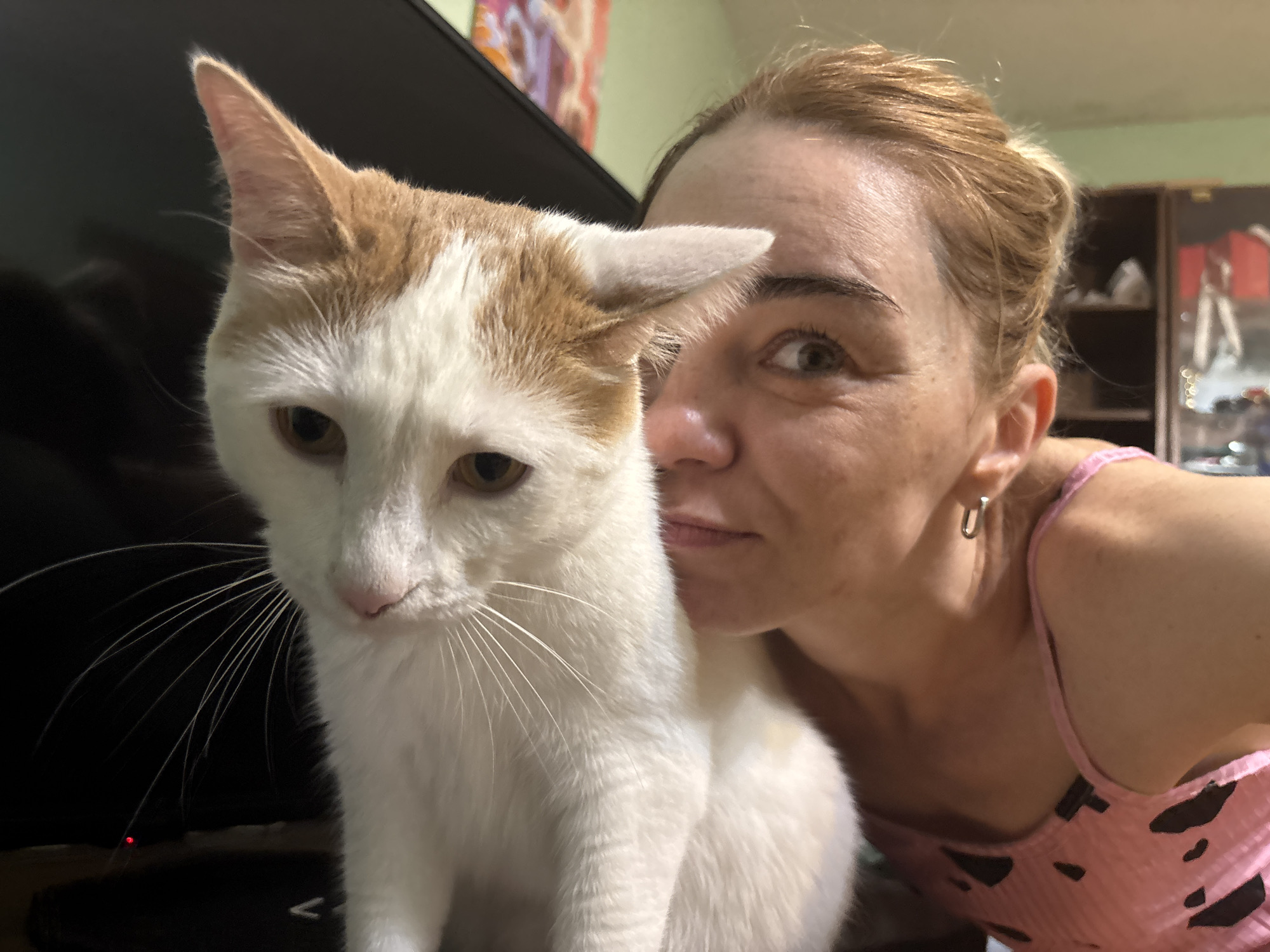 A medium shot captures a woman and a cat in a selfie-style shot. The woman, with blonde hair pulled back, is positioned to the right of the frame, leaning in close to the cat. Her face is partially obscured by the cat's head. She is wearing a pink top with a black speckled pattern and a silver hoop earring in her left ear. The cat, predominantly white with some orange markings on its head and ears, is seated in the foreground, facing left. Its ears are perked, and its gaze is directed downwards. The background is dimly lit, showing a black monitor to the left and a cabinet with shelves in the upper right. A colorful painting hangs on the wall in the upper left quadrant. The scene appears to be indoors, likely in a home environment, but no specific location details are discernible.