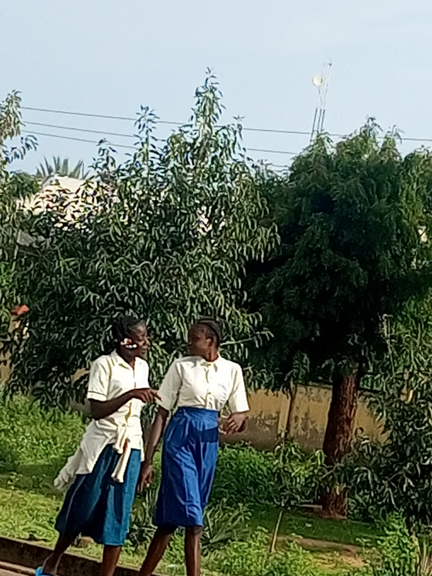The image shows two young women walking in Gombe, Nigeria. They are both wearing school uniforms, consisting of light-colored short-sleeved shirts and blue skirts. The woman on the left has her shirt tied at the waist and a white piece of fabric hanging from it. The woman on the right has her shirt tucked into her skirt. They appear to be engaged in a conversation, with the woman on the left gesturing.
They are walking outdoors, with lush green trees and vegetation surrounding them. A light-colored wall is visible behind them, and there are power lines stretched across the sky. A telecommunications tower with a dish is also visible in the sky above the trees. The sky is a clear, light blue, suggesting it is daytime with fair weather. The lighting suggests it could be late morning or early afternoon. The overall impression is of two students walking together, perhaps after school or during a break.