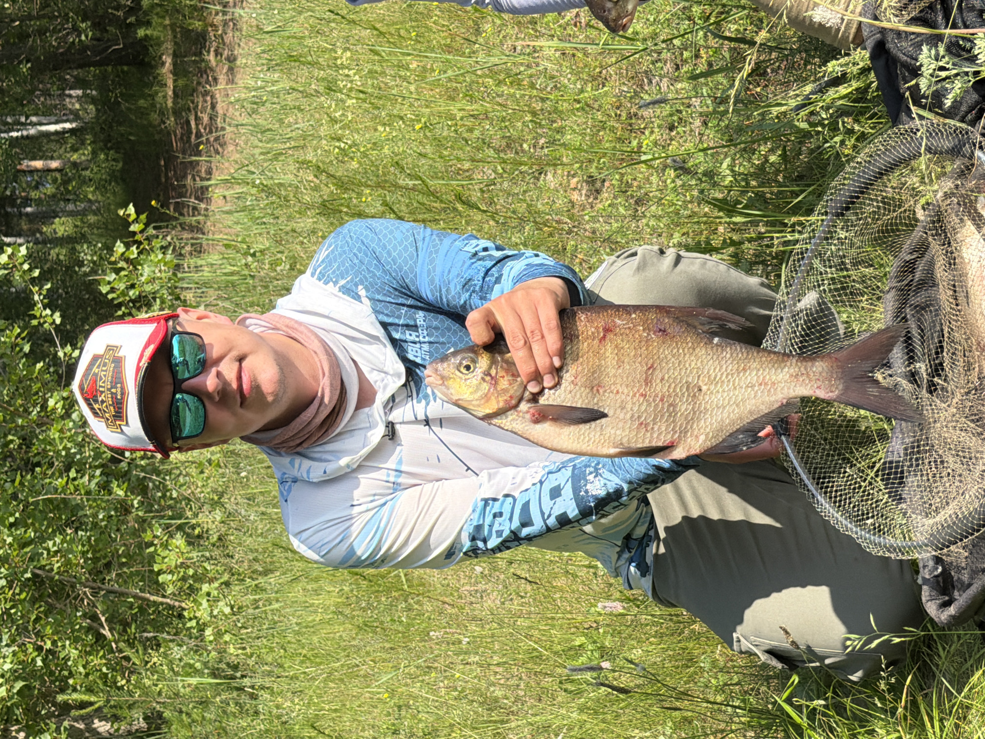A man, wearing a red and white baseball cap, mirrored sunglasses, and a long-sleeved fishing shirt with blue and white patterns, is kneeling in tall grass. He is holding a large, light-brown fish with dark fins and tail, its scales visible. The fish is positioned vertically, with its head pointing upwards. In front of him is a black fishing net, partially visible with the fish's tail resting on it. The background consists of dense green trees and foliage, suggesting an outdoor, natural environment. The man appears to be outdoors, likely in a fishing spot near a body of water in Chaikovsky, Russia, given the context. The scene is well-lit, indicating it is daytime.