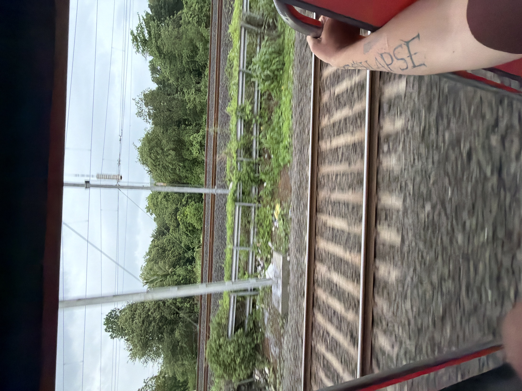 The image captures a view from a moving train through a window, looking out at a landscape with multiple train tracks. The foreground shows the blurred texture of the train's interior, with a hand visible on the right, holding a red bar, and displaying a tattoo on the arm. The middle ground features two sets of train tracks running parallel, separated by a green, overgrown embankment with a metal barrier. Beyond the tracks, a dense forest of green trees fills the background under a cloudy sky. The scene is consistent with the environs of Saphale, India, known for its proximity to natural landscapes and railway infrastructure.