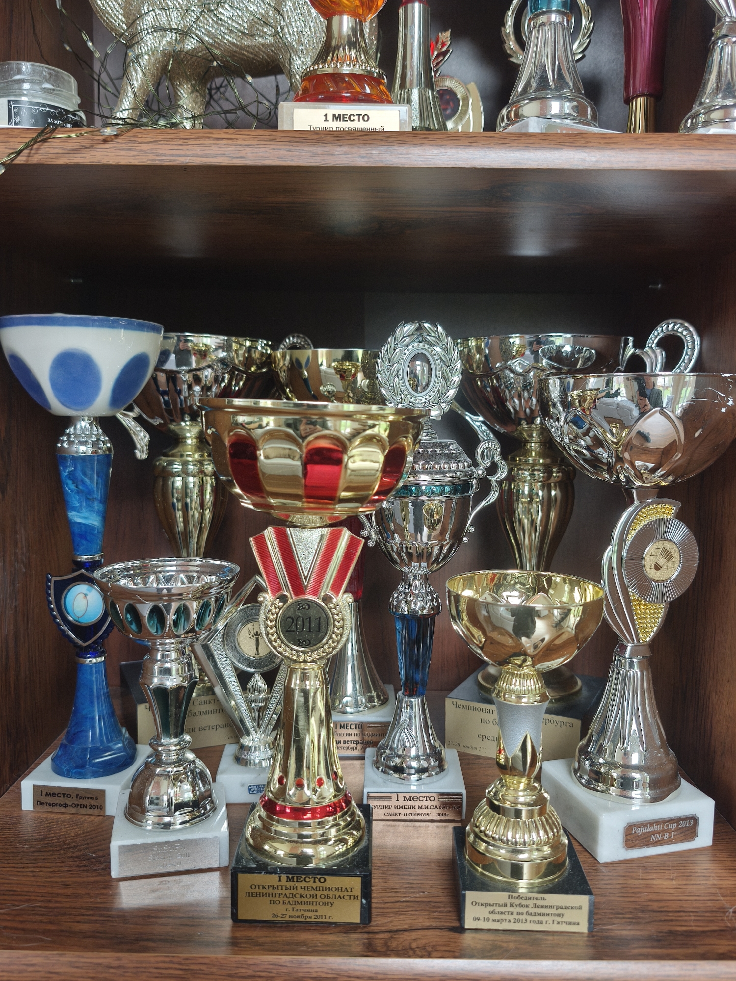 A wooden shelf is filled with an array of trophies, predominantly gold and silver in color. The trophies vary in design, some resembling bowls and cups, others adorned with medallions and ribbons. Some trophies have labels indicating they are first-place awards, and there is mention of badminton tournaments and events. Text on labels include phrases like "Открытый Чемпионат Ленинградской Области" (Open Championship of the Leningrad Region) and cities such as Петергоф (Peterhof), Санкт-Петербург (Saint Petersburg), and Гатчина (Gatchina). Dates on the labels indicate that the competitions took place between 2010 and 2013. The location is Steklyannyi, Russia.