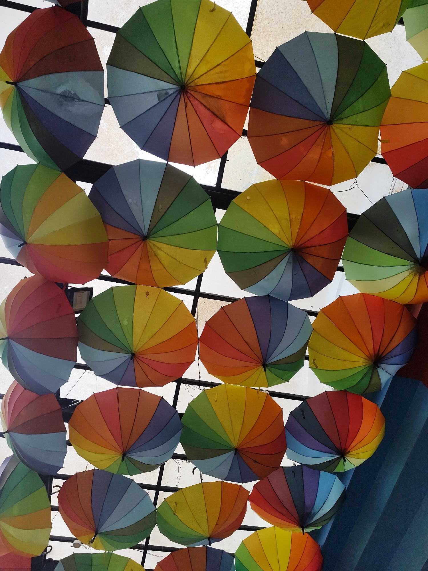 A view looking upward showcases a dense array of colorful, open umbrellas suspended beneath a structure. The umbrellas feature a rainbow spectrum of colors. The backdrop is a grid-like pattern of dark lines against a pale background. In the bottom right corner of the frame, there is a glimpse of a blue surface with diagonal lines. The photograph was taken in Da Lat, Vietnam.