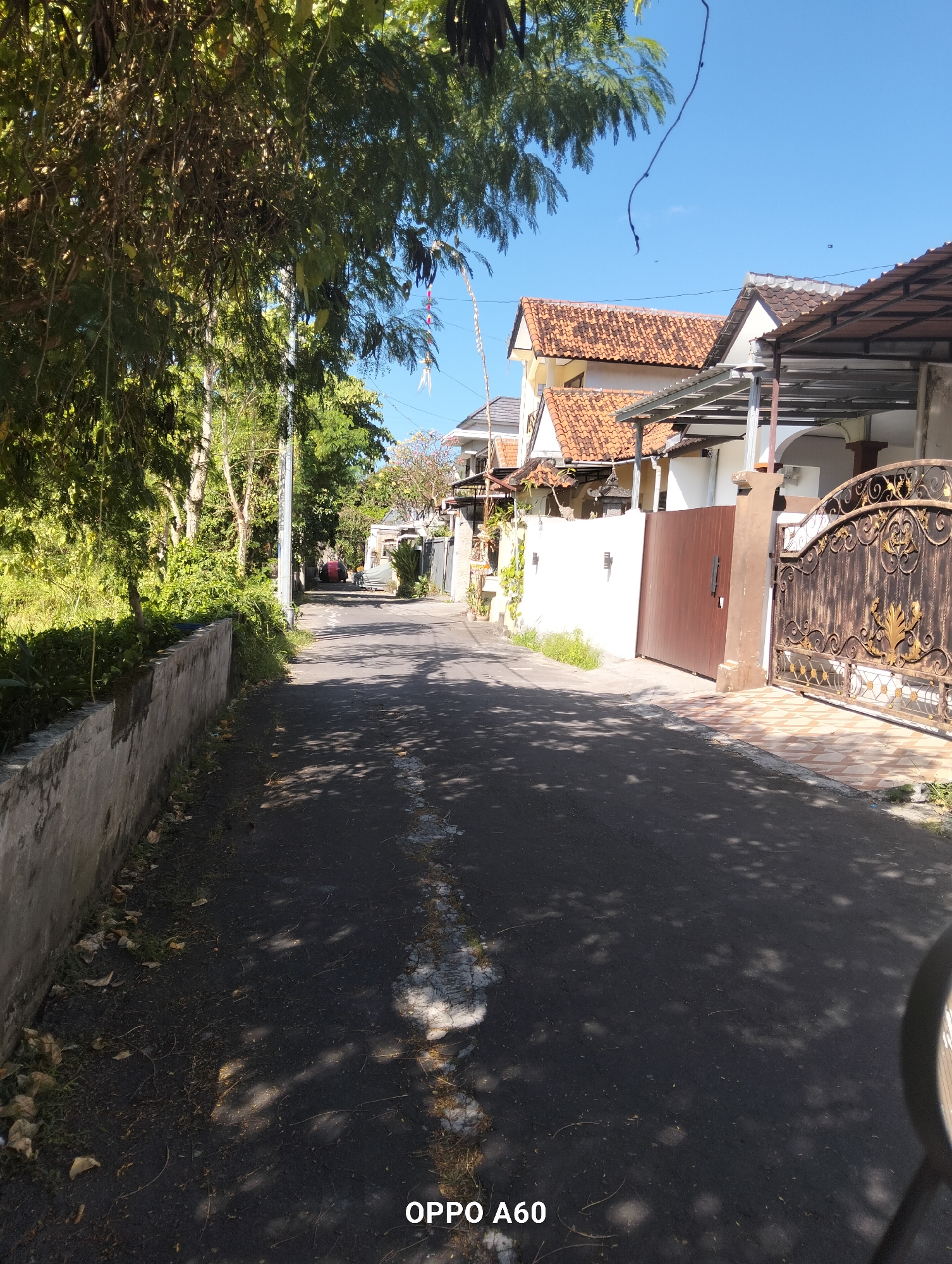 The image depicts a narrow, paved road in a residential area, likely in North Kuta, Indonesia, on a sunny day. The road is bordered by a low concrete wall on the left, covered in some vegetation, and houses with terracotta tile roofs on the right. Lush green trees and foliage line the left side of the road, casting dappled shadows onto the asphalt. On the right, a brown wooden gate and an ornate, dark metal gate with golden accents are visible, leading to a property with white walls. In the distance, the road curves slightly and appears to lead further into the neighborhood. A few parked vehicles and indistinct figures can be seen in the background, suggesting a sparsely populated scene. The sky is clear and blue. The bottom right corner of the image displays the text "OPPO A60".