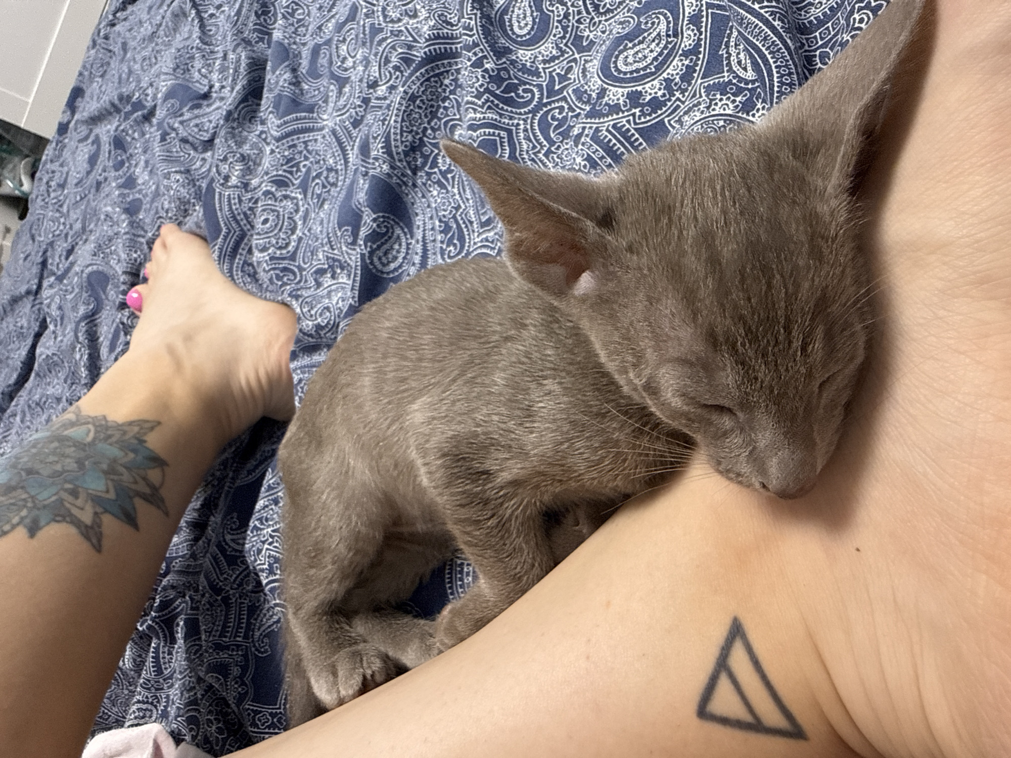 A gray cat sleeps curled up on a person's leg, which is resting on a blue paisley-patterned bedsheet. The person has two tattoos visible: a blue mandala-like design on their upper leg and a simple triangle outline on their lower leg. A pink-toed foot is also visible, suggesting the person is wearing nail polish. The scene appears to be indoors, likely in a bedroom. There is no indication of the location being Moscow, Russia.