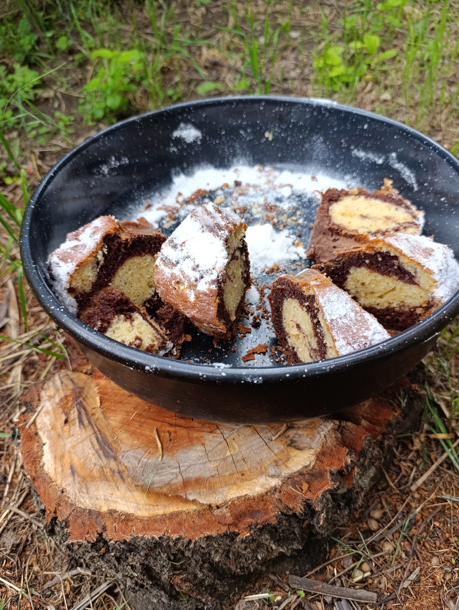 A black, circular cooking pan is positioned centrally, resting on a weathered tree stump outdoors in Nikolichevtsi, Bulgaria. The pan contains multiple irregular slices of a baked good, likely a marble cake, characterized by interwoven light (vanilla) and dark (chocolate) dough. These cake slices are visibly dusted with white powdered sugar, which is also scattered across the pan's interior surface. The tree stump, which supports the pan, displays distinct concentric growth rings, varying shades of brown and tan wood, and surface cracks. The immediate ground around the stump consists of dry soil, sparse green grass, and scattered organic debris, including small twigs. The background is an out-of-focus expanse of green grass and foliage. No human figures or active processes are depicted.