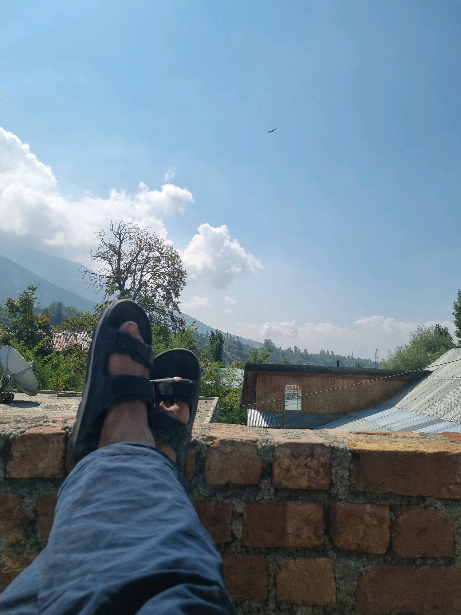 In Manigam, India, a person's legs, clad in blue pants and black sandals, are visible from the knees down, resting on a brick wall. The person's feet are positioned in the foreground, with the right leg bent at the knee and the left leg extended forward. Behind the wall, a satellite dish is mounted on a roof. The background features a landscape of rolling hills covered in trees. A large, bare tree stands prominently on a hill. Further in the distance, buildings with corrugated metal roofs are visible, along with a glimpse of a clear blue sky with scattered white clouds. A bird is captured in flight against the sky. The scene depicts a relaxed moment outdoors, with the person enjoying the view from a rooftop.