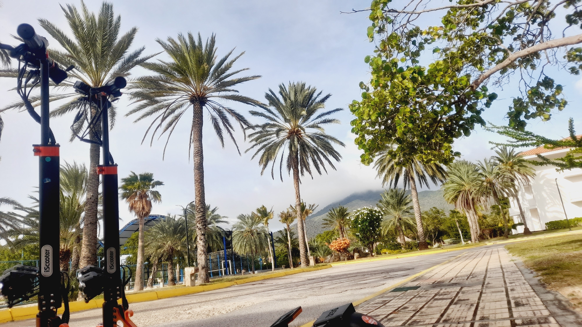 The image depicts an outdoor scene with palm trees lining a paved road and sidewalk. In the foreground, two black electric scooters with orange accents are parked. The scooters have "iScooter" branding visible. The road appears to be an asphalt surface with yellow painted lines and a textured concrete sidewalk to the right. Behind the scooters and palm trees, a white building with red-tiled roofs is visible, suggesting a resort or hotel. In the distance, a lush green mountain range is shrouded in mist. The sky is partly cloudy. The location is identified as Pedro González, Venezuela. There are no people or discernible actions taking place.