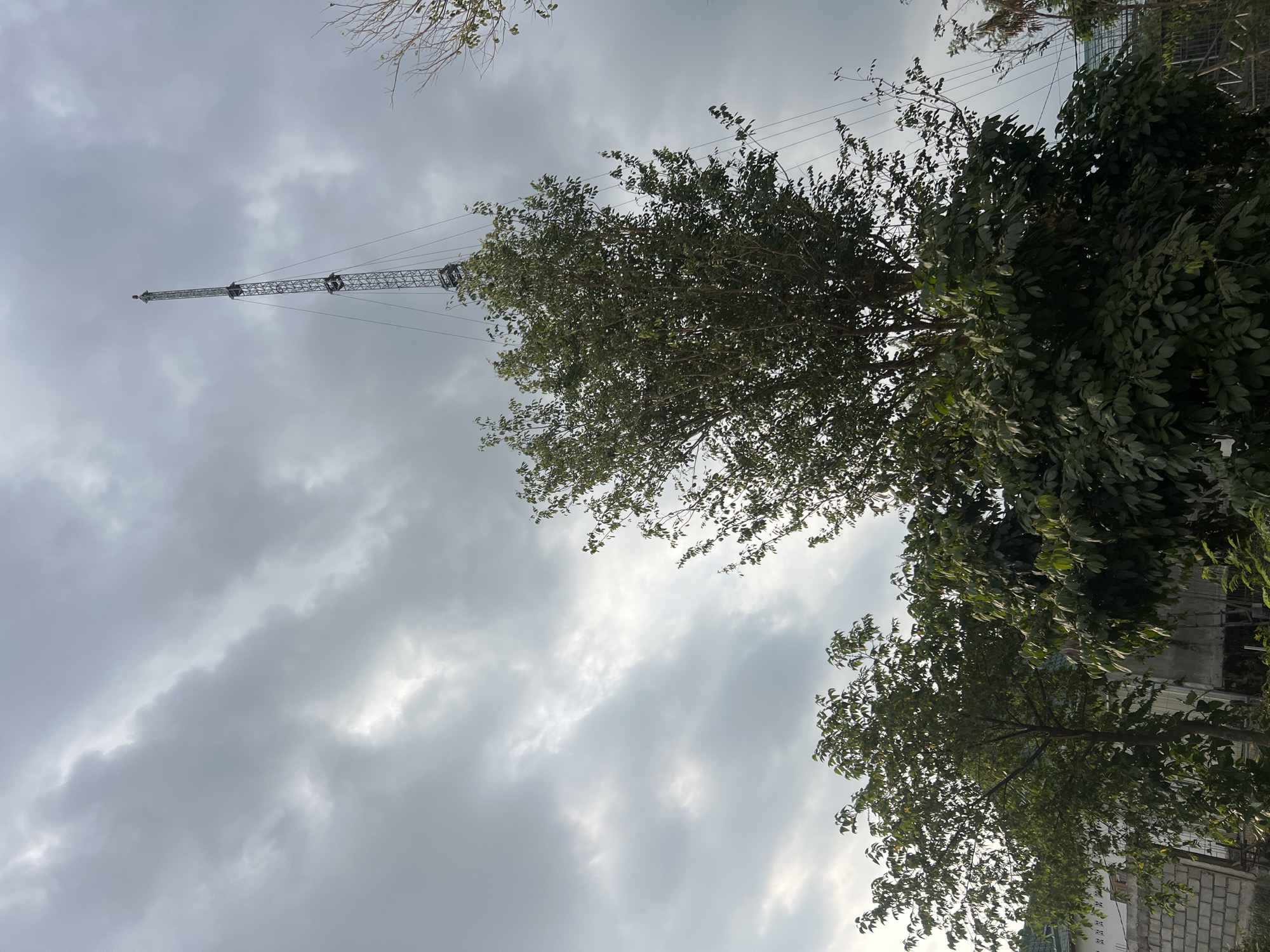 In Ngaglik, Indonesia, a tall, lattice radio tower pierces a cloudy sky. The tower is supported by multiple guy wires that stretch to the ground. In the foreground, lush green trees with dense foliage partially obscure the view of the tower. The sky is overcast with a mix of dark and lighter gray clouds, suggesting an impending or recent rain. The lower portion of the image reveals some man-made structures, including a brick wall and what appears to be the side of a building, along with some fencing. The scene is a blend of natural elements and industrial infrastructure.