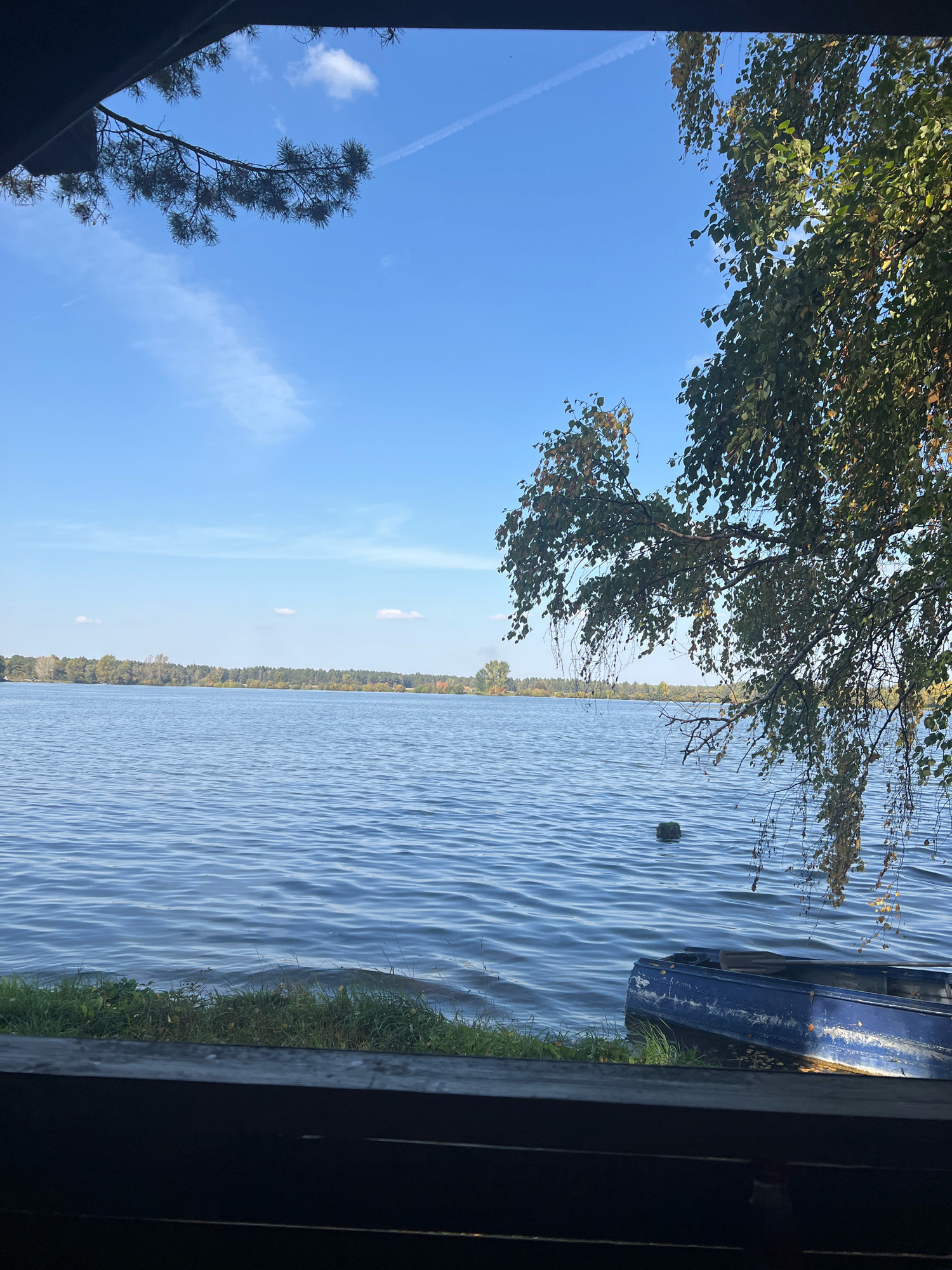The image depicts a tranquil waterscape, likely a lake or wide river, under a clear blue sky with wispy clouds. The foreground is partially obscured by dark wooden structures, suggesting a viewpoint from a covered area such as a porch or boathouse. To the left, a pine branch extends into the frame from above, silhouetted against the sky. On the right, a leafy tree, possibly a birch, with some yellowing leaves, hangs over the water.
The water surface is rippled, reflecting the sky and surrounding foliage. Along the bank, green grass and vegetation are visible. Partially submerged in the water near the right bank is a blue rowboat with oars visible inside. The distant shore is lined with trees, indicating a natural or park-like environment. The scene is devoid of human presence.
While the exact location within the city of Новый Путь, Russia is not explicitly identifiable from the image alone, the description aligns with a typical waterfront area in such a region, potentially a recreational spot or a natural preserve.