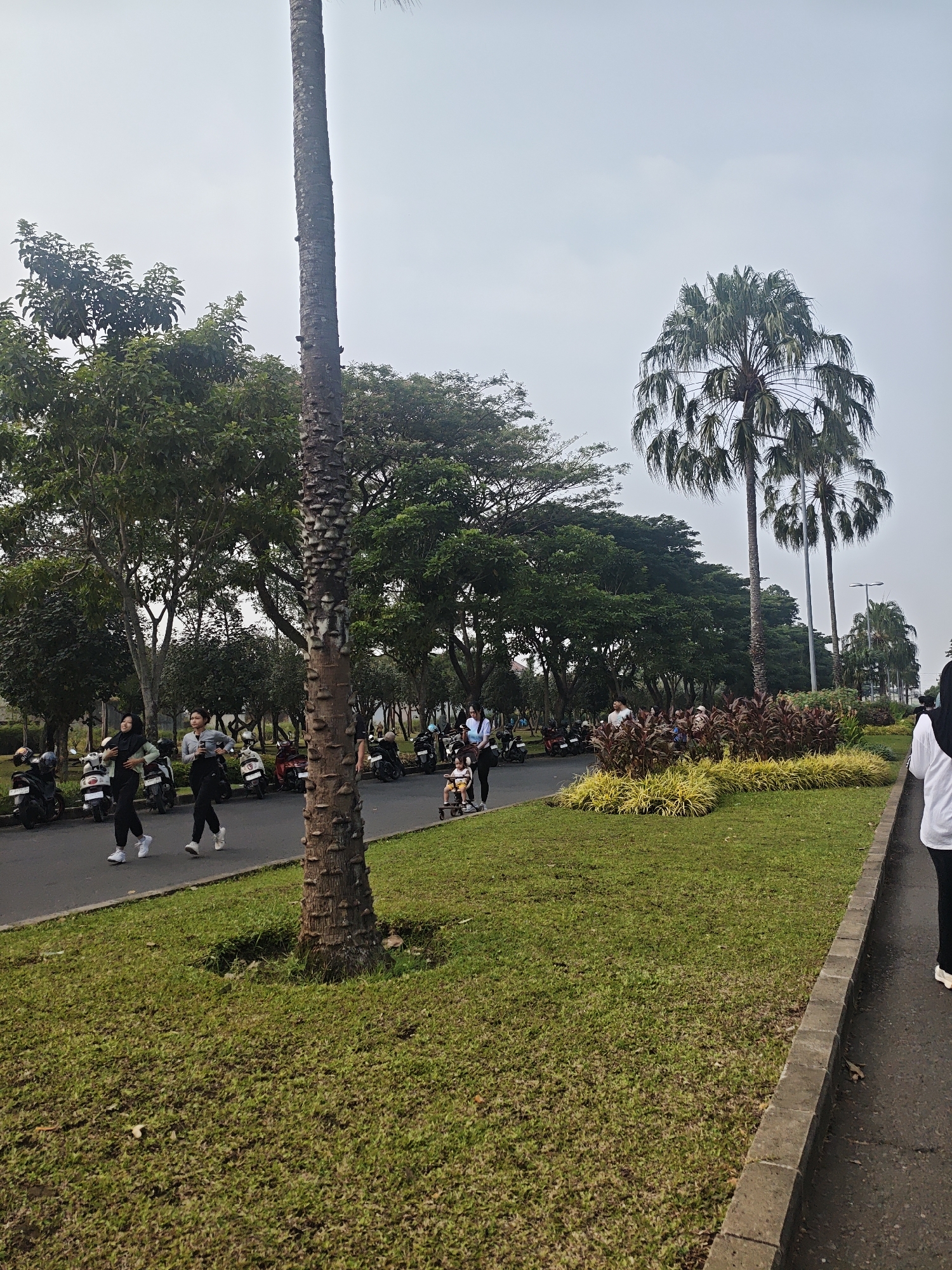 The image depicts an outdoor scene with a paved walkway and a grassy area lined with trees and palm trees. A group of people are visible on the walkway, some of whom appear to be walking or jogging. Several motorcycles are parked along the side of the walkway. The environment suggests a park or recreational area within the city of Bacin, Indonesia. The sky is overcast. The foreground is dominated by a large, textured tree trunk.