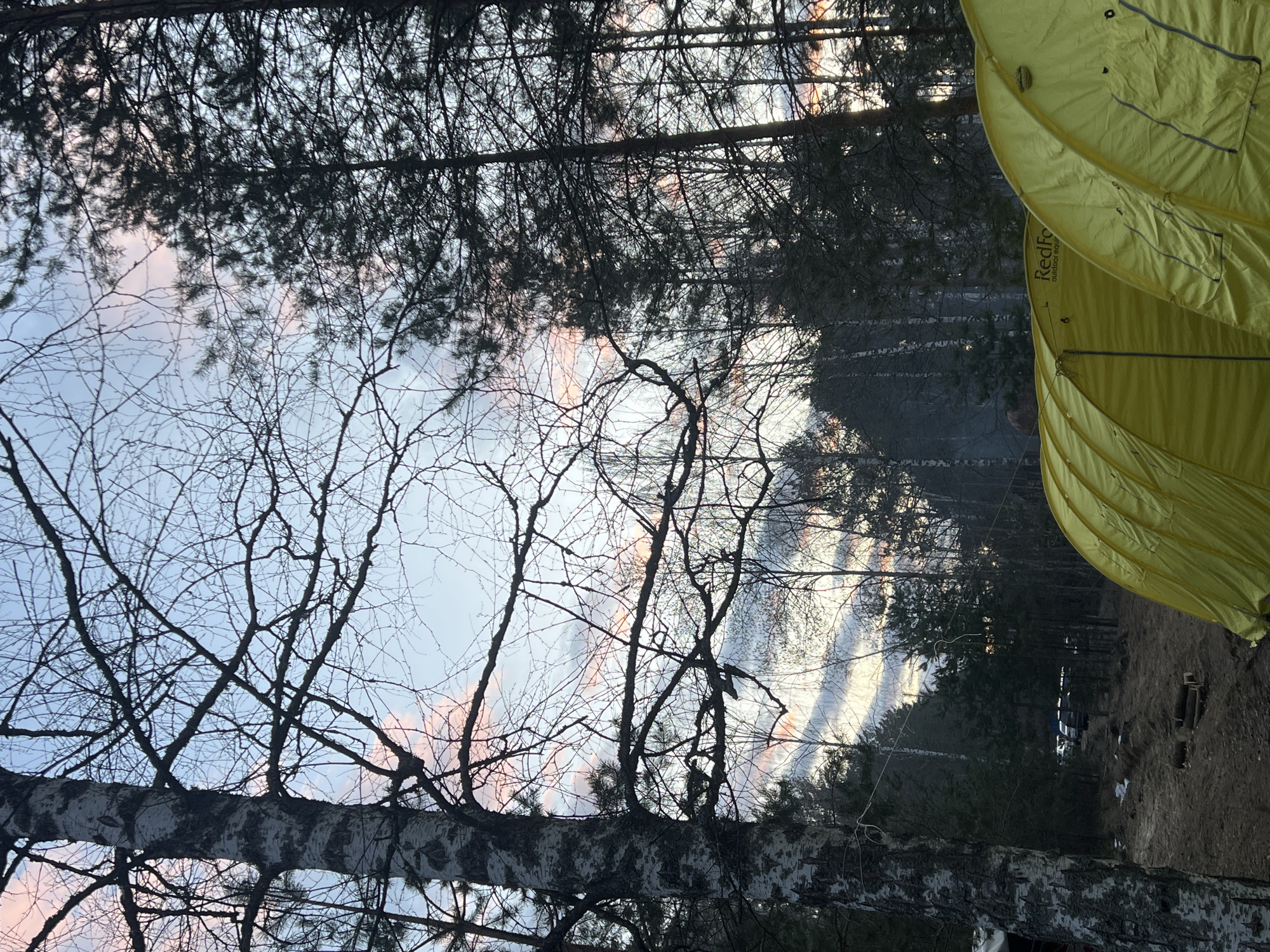 The image presents a serene twilight scene within a forest environment, likely a campsite, shot from a low angle. The composition is dominated by various trees and a bright yellow tent, under a softly colored sky.
In the foreground, silhouetted against the sky, are numerous bare branches of deciduous trees, possibly birches, identifiable by their textured, light-colored bark. Intertwined with these are darker, denser branches of coniferous trees, indicating a mixed forest. The intricate network of branches creates a natural frame for the sky.
The sky, visible through the canopy, displays gentle pastel shades of light blue, gray, and delicate pink, strongly suggesting either sunrise or sunset. This soft lighting contributes to a tranquil and possibly cool atmosphere.
To the right, a vibrant yellow camping tent stands prominently, offering a striking color contrast to the muted tones of the forest and sky. The brand "RedFox outdoor equipment" is clearly visible on the side of the tent. The tent is pitched on dark, earthy ground, which appears to be a mix of soil and dry foliage.
In the mid-ground, behind the tent, a dense line of coniferous trees forms a dark backdrop. Further in the distance, through the trees and shadows, the faint outline of a parked vehicle, possibly a car or van, and other elements of a distant camp can be observed, implying human presence. The ground in the background appears somewhat uneven, with areas of lighter tones that might be sparse vegetation or remnants of snow.
The scene captures a peaceful moment in nature, typical of an outdoor adventure or camping experience in a forest like those found in Lesnoye, Russia, at dawn or dusk.