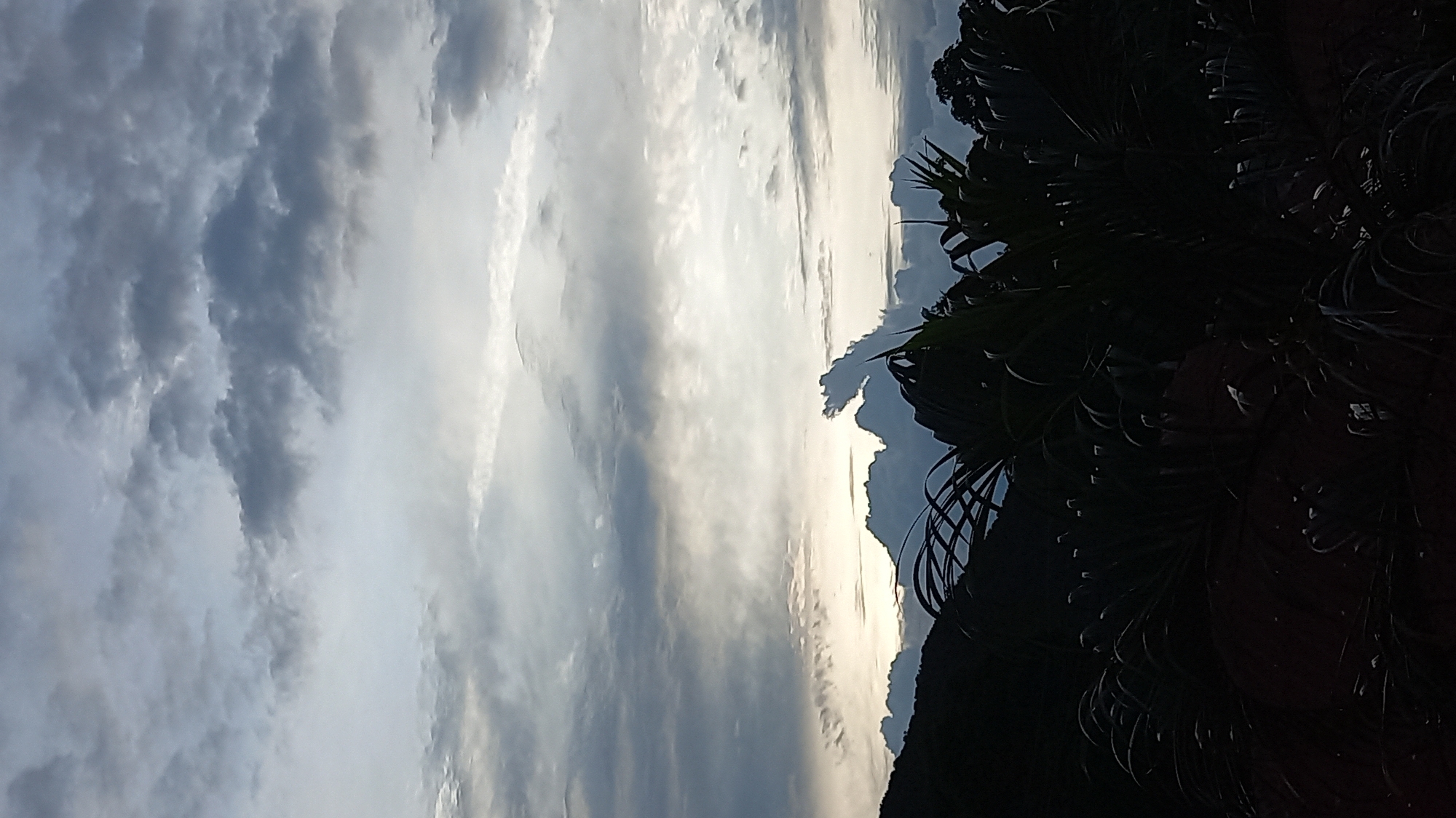 An outdoor, vertical, full shot captures a cloudy sky above a dark silhouette of lush foliage and a hill. The clouds are a mix of grey and white, with sunlight breaking through in some areas, creating a bright, diffused light. The foliage in the foreground is dense and dark, obscuring any specific details of plants or ground. The hill on the left side is also a dark silhouette against the lighter sky. The image suggests a natural landscape, possibly a tropical environment, given the dense vegetation. The location is identified as Ko Pha-ngan District, Thailand. There are no people, animals, or man-made structures visible in the scene.