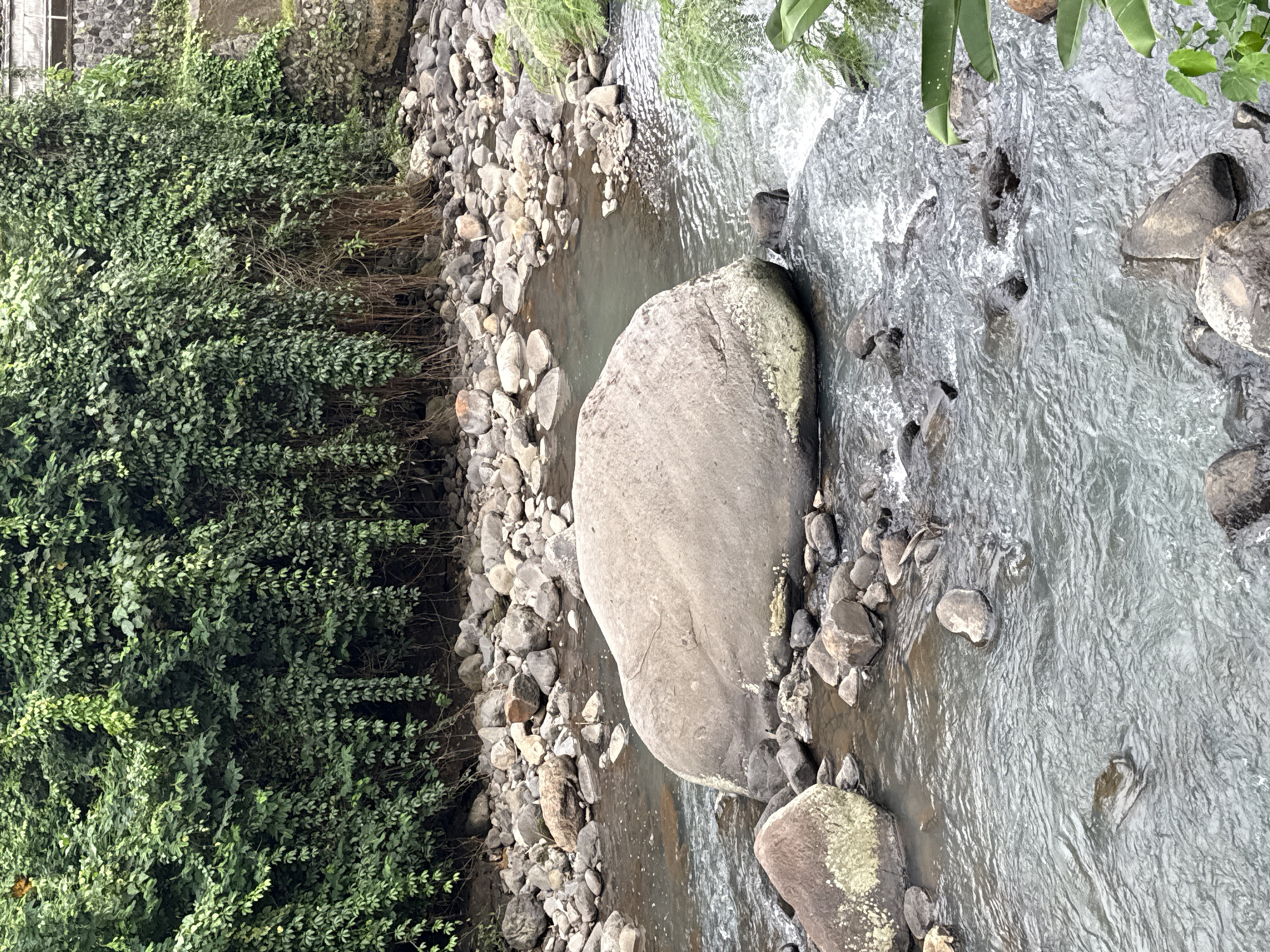 This is an eye-level, outdoor, landscape-oriented photograph of a stream flowing through a rocky riverbed. Dense green foliage lines the left side of the frame. Large boulders are situated in the center of the stream, around which the water flows. The stream appears to be partially flowing and partially still. The photograph was taken during the day in Unknown, Unknown.