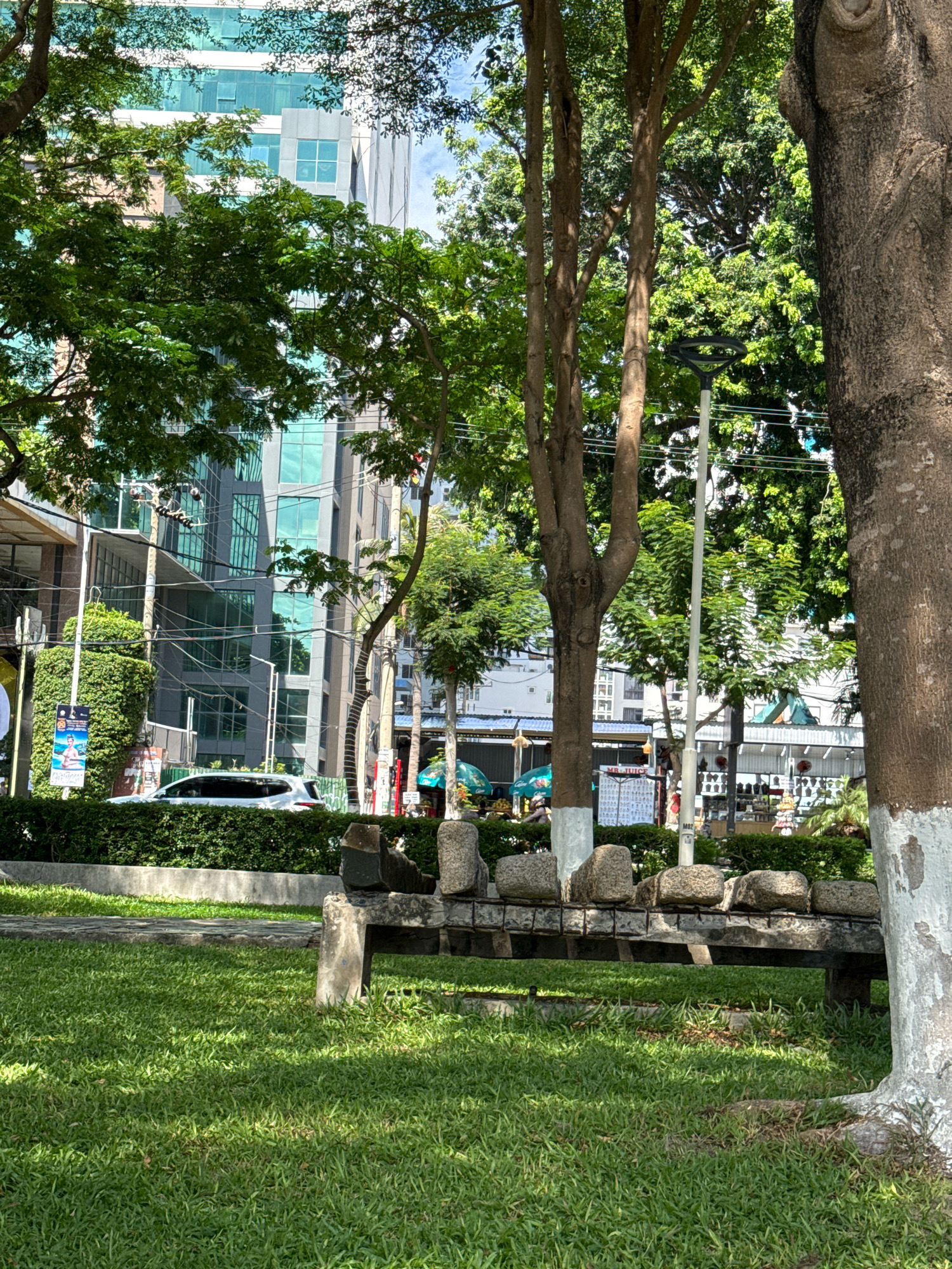 The image depicts a street scene in Nha Trang, Vietnam. In the foreground, a grassy lawn is visible, with a low stone bench featuring several large stones on top. A large tree trunk with white paint on its base is on the right side of the frame. Behind the lawn, a manicured hedge separates it from the street. On the street, a white SUV is parked. Further back, several buildings can be seen, including a modern glass-fronted building. Trees and utility poles with numerous wires are also present. In the background, there are glimpses of market stalls and awnings. The sky is partly cloudy.