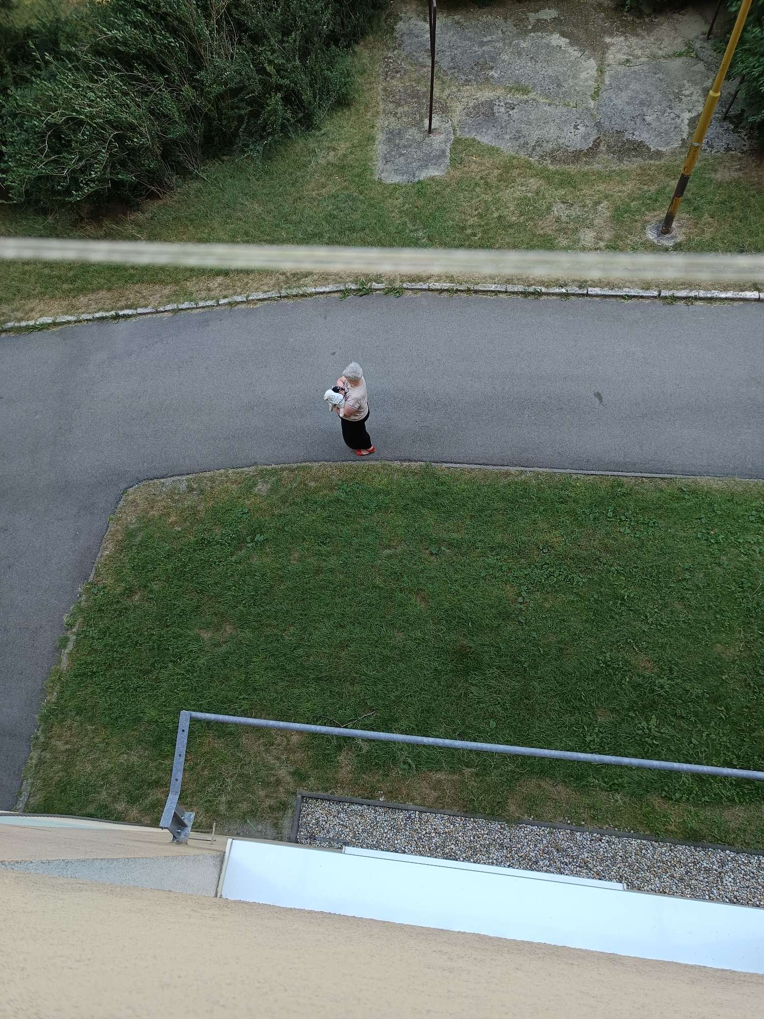 An overhead shot shows an elderly woman holding a small white dog while standing on a paved path. The woman is wearing a light brown shirt and a dark skirt with red shoes. She is in a park-like setting with a patch of green grass to her right and a sidewalk to her left. A metal railing is visible in the foreground, and in the background, there are trees and some concrete structures. This image was taken in Košice, Slovakia.