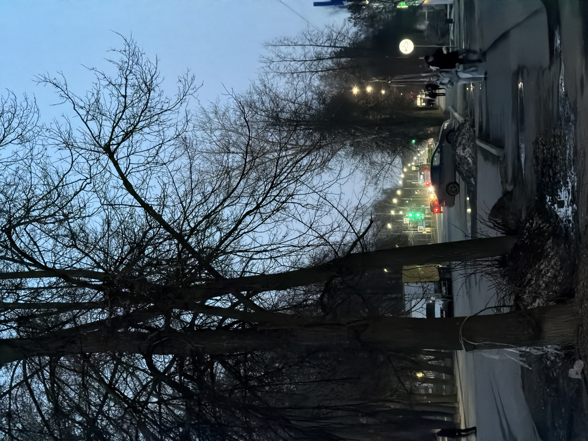 The image depicts a street scene in Chaikovsky, Russia at dusk or dawn. Bare trees dominate the foreground and frame the view down a wet, paved street. Streetlights illuminate the scene and line the street. Cars and pedestrians are visible further down the street, which appears to be a main thoroughfare with traffic signals. The sky is a pale blue-gray color. Sidewalks are adjacent to the road. There is a sign with a fish symbol in the background. A car is parked on the right-hand side of the street. There is snow or slush on the side of the road.