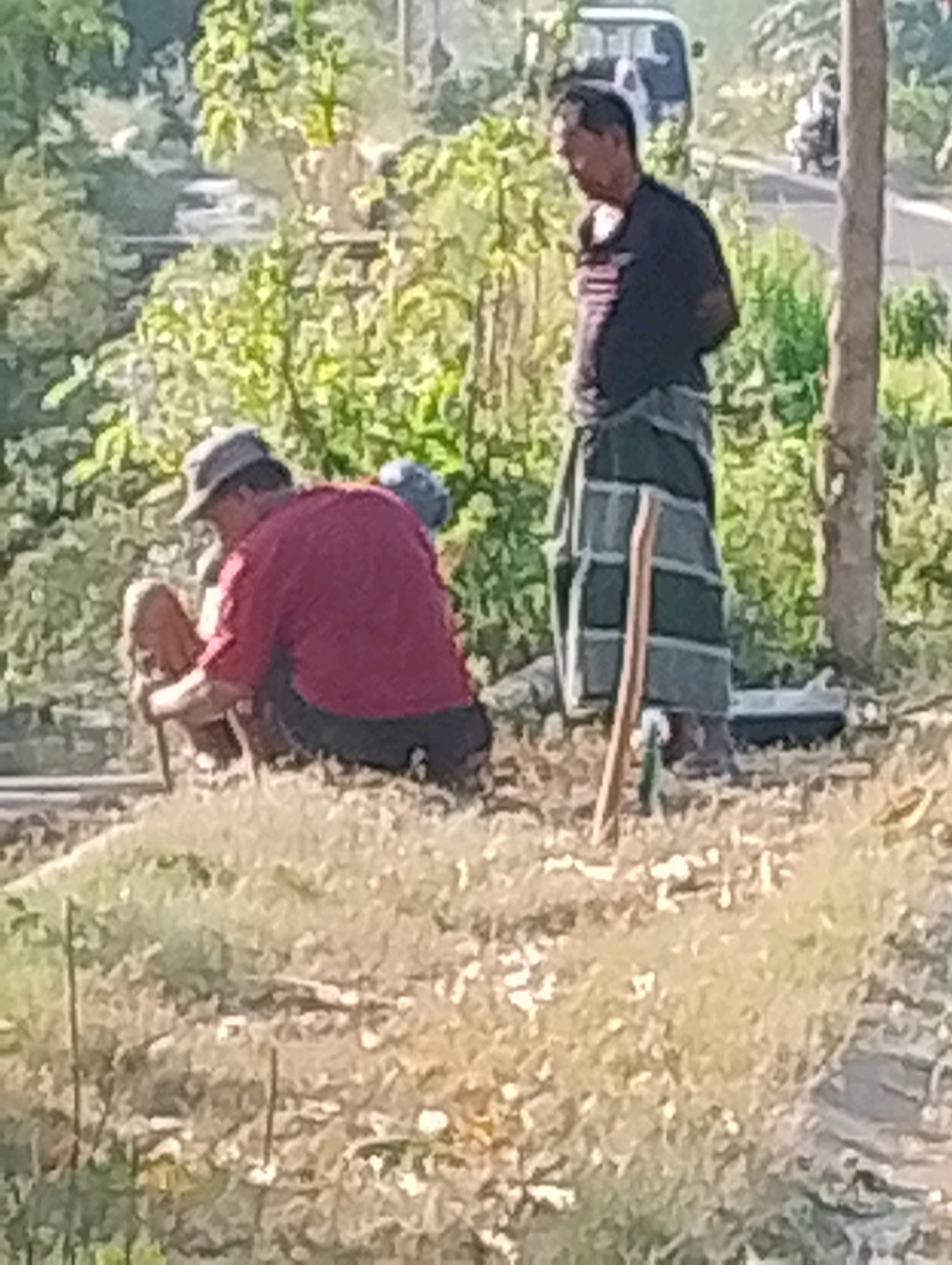 The image depicts an outdoor scene, likely in a rural or semi-rural area of Probolinggo, Indonesia, given the foliage and informal settlement-like environment suggested by the presence of a wooden pole and a rough terrain. Two men are visible. In the foreground and to the left, a man wearing a red shirt and a hat is squatting and appears to be engaged in some activity involving tools or materials on the ground. He is partially obscured by his posture and the low-lying vegetation. To his right and slightly behind him, another man stands, wearing a dark t-shirt and a sarong-like garment around his waist. He is looking away from the camera, towards the right of the frame. In the background, there is a dirt road with some vehicles, including what appears to be a small white van and motorcycles, suggesting proximity to a populated area or thoroughfare. The environment is lush with green trees and vegetation, indicating a tropical or subtropical climate. The lighting suggests it is daytime, with sunlight casting shadows.