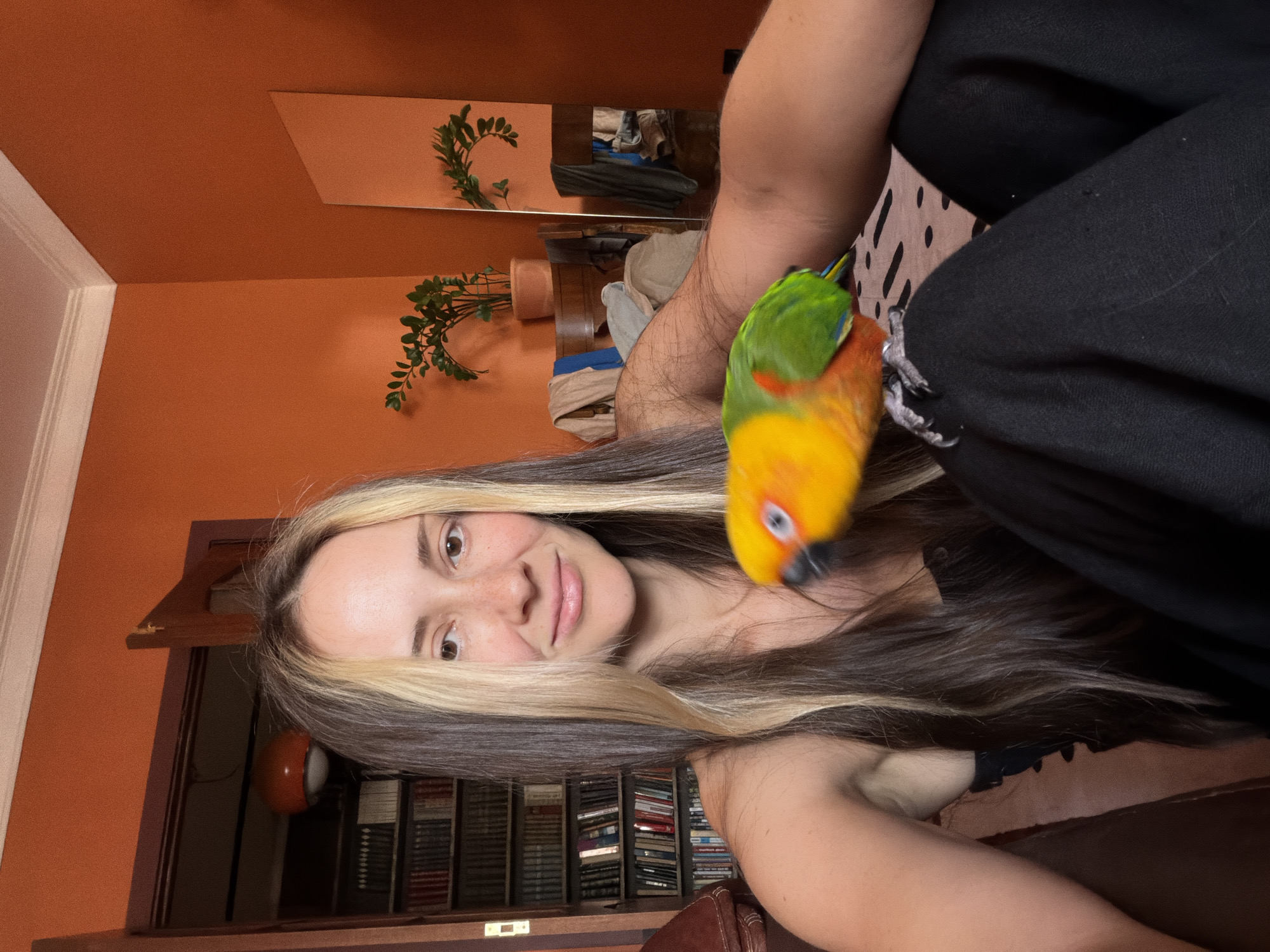 A young Caucasian woman with long, dark brown hair with blonde streaks is taking a selfie with a Sun Conure parrot perched on her knee. The woman is smiling at the camera and appears to be wearing a black top. The parrot is mostly orange and yellow with green on its wings and is looking towards the camera. The background shows an orange wall, a bookshelf filled with books, and a mirror. The scene appears to be indoors in a residential setting.