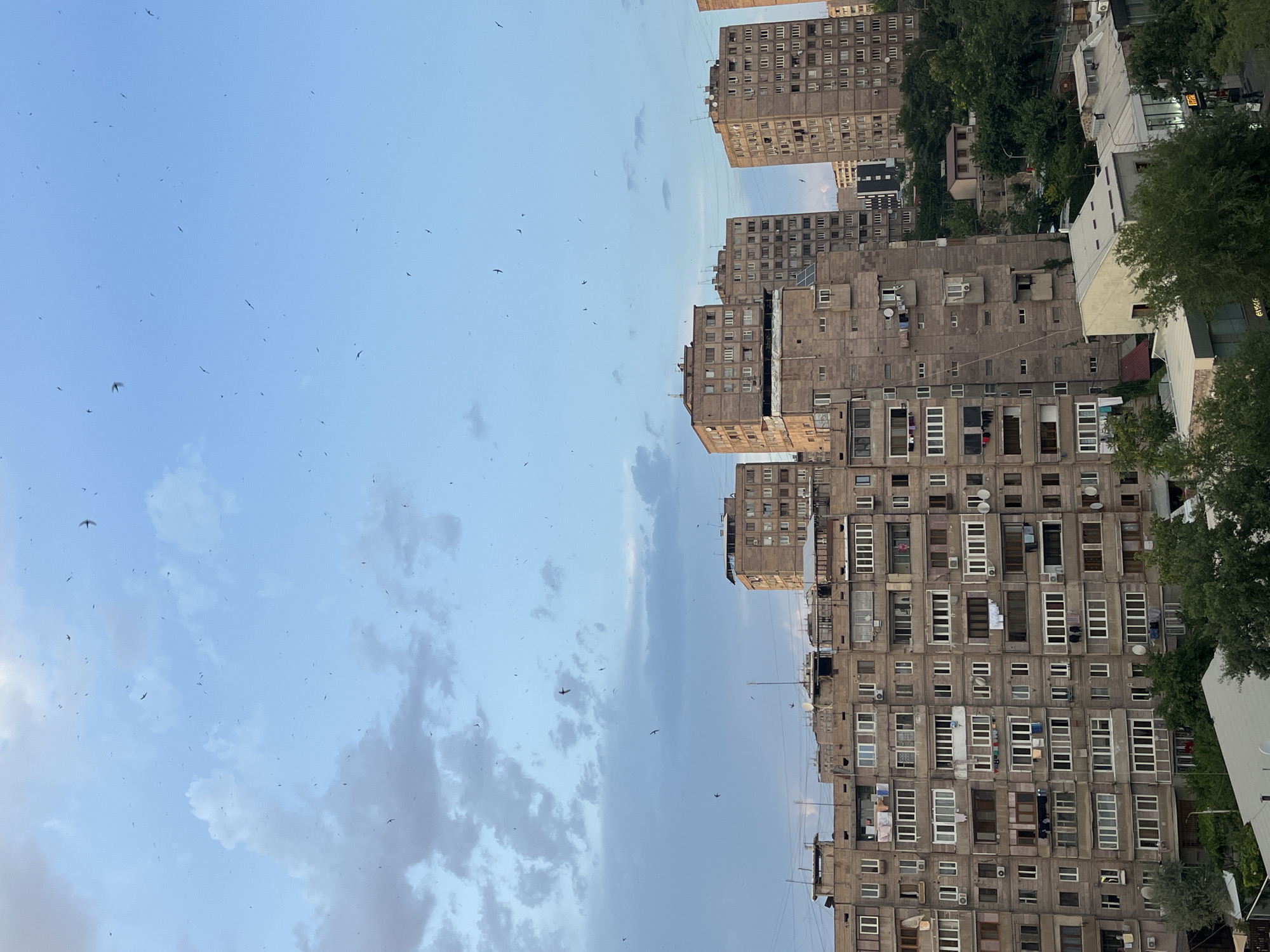 The image captures a panoramic view of a residential area in Yerevan, Armenia, under a partly cloudy sky dotted with numerous small birds in flight. The foreground is dominated by several multi-story apartment buildings, characteristic of Soviet-era architecture, with their modular balconies and uniform window placements. Laundry is visible hanging from some balconies, adding a touch of daily life to the scene. In the background, more buildings rise, some appearing taller and more modern. Lush green trees punctuate the urban landscape, particularly in the lower right and middle ground, suggesting a temperate climate. The sky is a soft blue, transitioning to a lighter hue near the horizon, with scattered grey clouds. The overall impression is one of an established urban environment during what appears to be late afternoon or early evening.