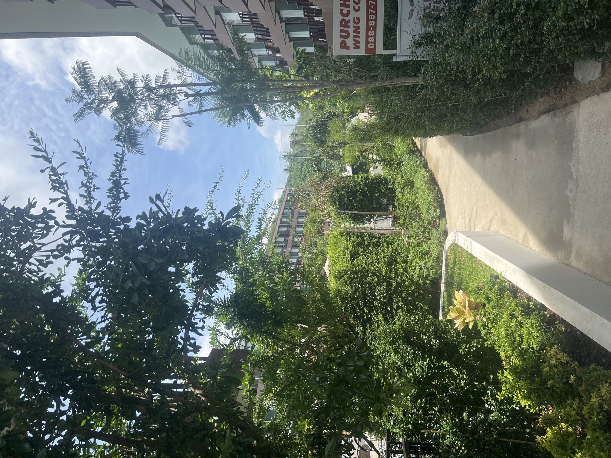 A paved pathway curves through a well-maintained garden area. Lush green bushes and trees line the path, with a raised garden bed on the left featuring a variegated plant. In the background, buildings with multiple balconies are visible, surrounded by tropical vegetation and a cloudy blue sky. A sign on the right reads "PURCHASE WING CO" and a phone number. The scene suggests a resort or residential complex in a tropical climate, likely in the Ko Samui District of Thailand, given the building architecture and abundant greenery. There are no people or animals present in the frame.
