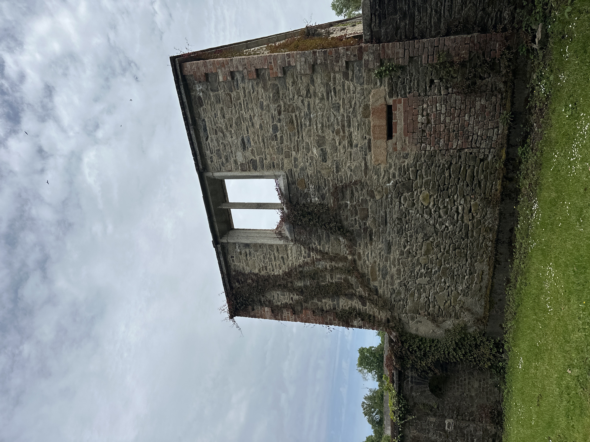 The image shows the weathered stone ruins of a building with ivy growing on its walls. The structure has a large, empty window frame on an upper level. Below the window, there is a smaller, recessed opening made of brick. The building is made of rough-hewn stones and accented with red brickwork, particularly at the corners and around openings. A stone wall, also covered in ivy, runs along the foreground to the left. The ground in front of the ruins is covered with green grass and dotted with small white flowers. The sky above is overcast with scattered clouds, and several small birds are visible flying in the distance. The location is not specified, but the presence of ivy and the architectural style suggest a possibly historical site in Ireland.