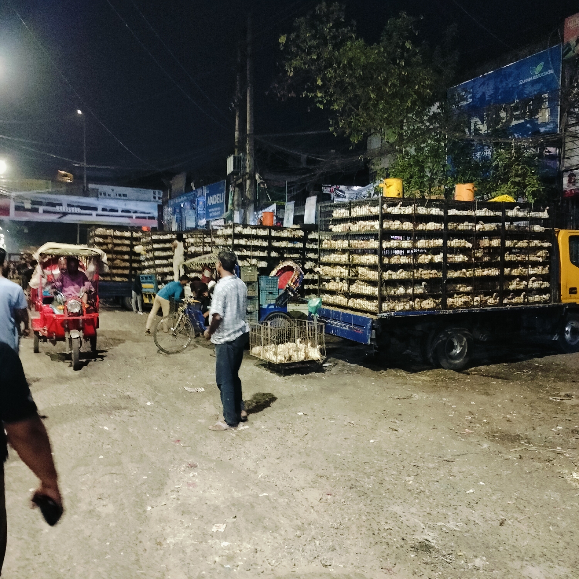 The image shows a nighttime scene at what appears to be a poultry market in Dhaka, Bangladesh. A yellow truck is heavily loaded with cages stacked high, each filled with live chickens. A similar, smaller load is visible in the background. A three-wheeled motorized rickshaw is positioned in the foreground, carrying passengers. Several men are present, some standing near the truck, and one is interacting with a bicycle. A smaller cage of chickens sits on a wheeled platform. Street lighting is present, along with visible signage in Bengali script on nearby buildings. The ground is uneven and appears to be a dirt or partially paved road.