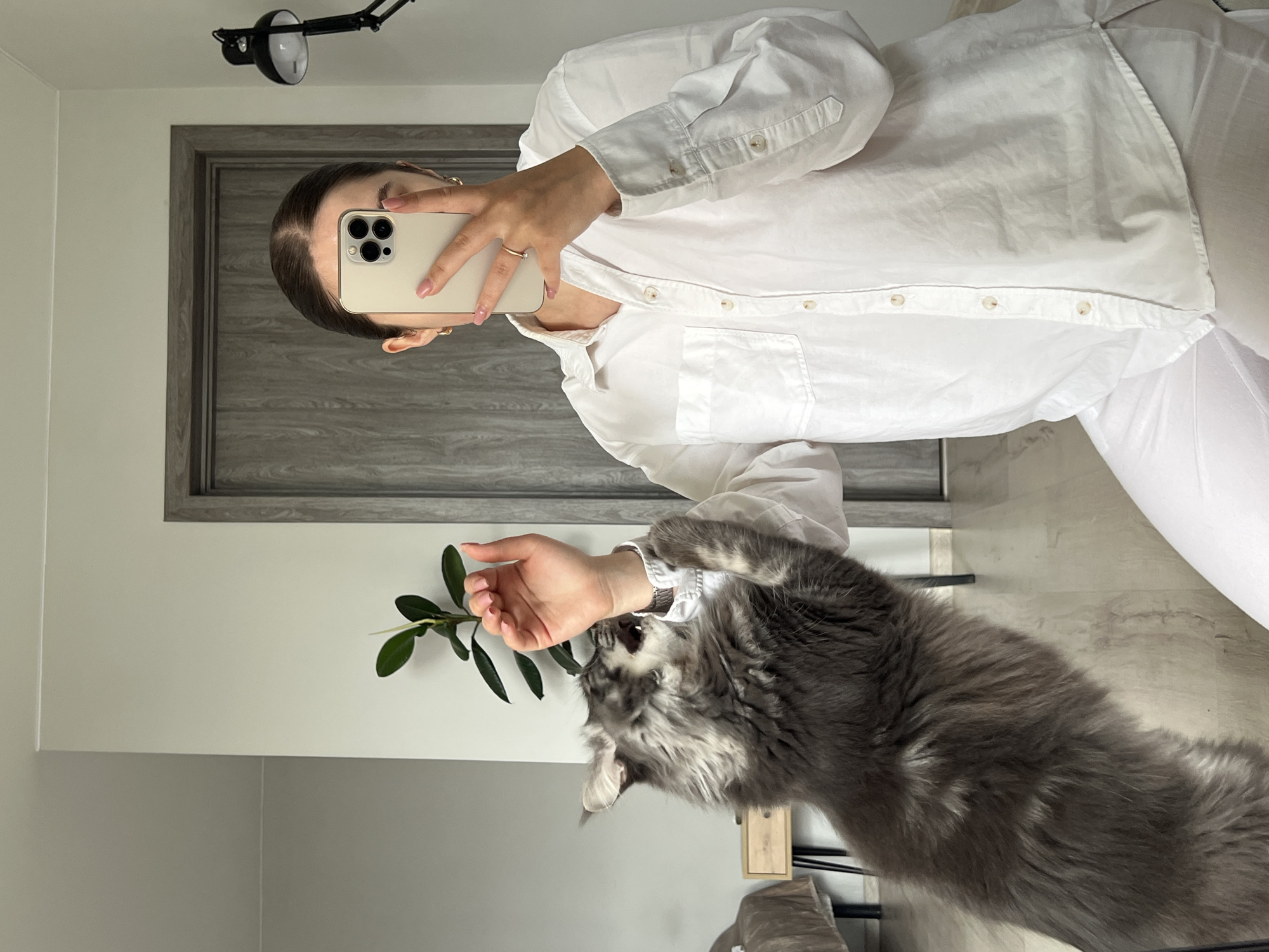 This mirror selfie, taken in what appears to be a modern home in Ternopil, Ukraine, captures a person and their cat in a playful interaction. The central figure is a woman, visible from the chest up, taking the photo with a light-colored smartphone, likely an iPhone with a triple camera setup, held in her left hand. She wears a crisp white collared button-up shirt and white pants, with a ring on her left ring finger and a watch on her right wrist. Her dark hair is neatly pulled back.
A large, fluffy gray and white cat, possibly a Maine Coon or similar breed, is playfully engaged with the woman's right hand and a small branch with dark green leaves she is holding. The cat's mouth is open, suggesting it's playfully biting or interacting with the leaves or her hand. Its fur shows distinct patterns of gray and white, particularly around its face and chest.
The background reveals a clean, contemporary interior. A prominent dark gray wooden door frame with a panelled door stands behind the woman. The walls are a light, neutral color, and the flooring is a light wood or laminate. A black adjustable wall-mounted lamp is visible in the upper left. The scene depicts a casual, affectionate moment between a pet owner and their cat. No discernible text is visible in the image.