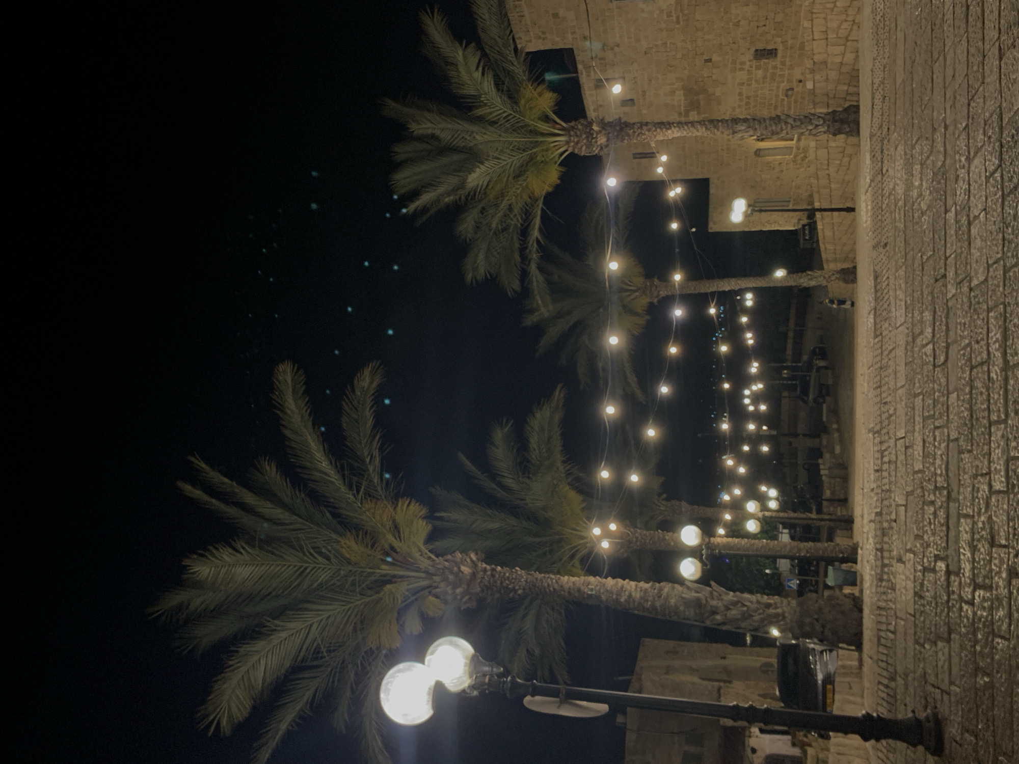 At night, a street view is framed by palm trees illuminated with string lights. The street, likely in Tel-Aviv, Israel, is defined by brick or stone buildings on either side. The palm trees, with their distinctive fronds, stand tall, with their trunks visible. String lights are strung between the trees, casting a warm glow on the scene. A lamppost with two globular lamps is prominent in the foreground. The environment is urban, with a sense of tranquility.