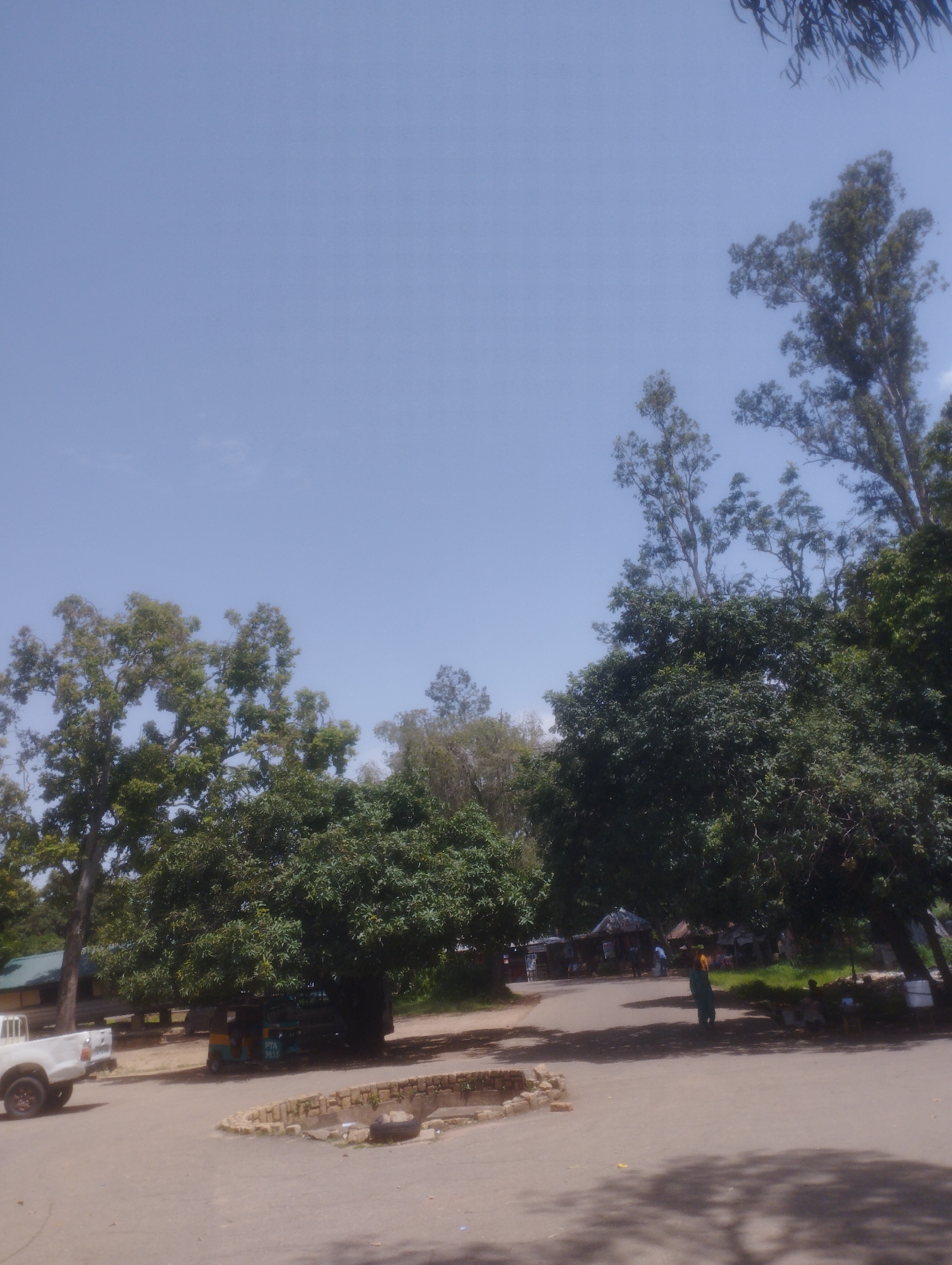 This image depicts a scene in Jos, Nigeria, under a clear blue sky, suggesting a warm, sunny day. The setting appears to be a roadside area with vegetation and some structures.
In the foreground, a white pickup truck is parked on the left side of a paved road. To the right of the truck, a three-wheeled vehicle, possibly a tuk-tuk or auto-rickshaw, is parked under a large, leafy tree. The vehicle is yellow and blue. Further down the road, several people are visible, some standing and interacting near small stalls or structures, suggesting a market or gathering place. One person, wearing a green garment, is walking along the road. The overall atmosphere seems casual and everyday.
The background is dominated by lush green trees of various sizes, some tall and slender with distinct foliage, while others are more bushy and dense. The presence of these trees indicates a potentially natural or semi-rural environment within or on the outskirts of the city. The road appears to be asphalt, with some minor construction or boundary work visible along the side, marked by stacked stones and a discarded tire. The lighting suggests it is daytime, likely mid-morning or afternoon, given the shadows cast by the trees. No specific text is clearly discernible in the image.