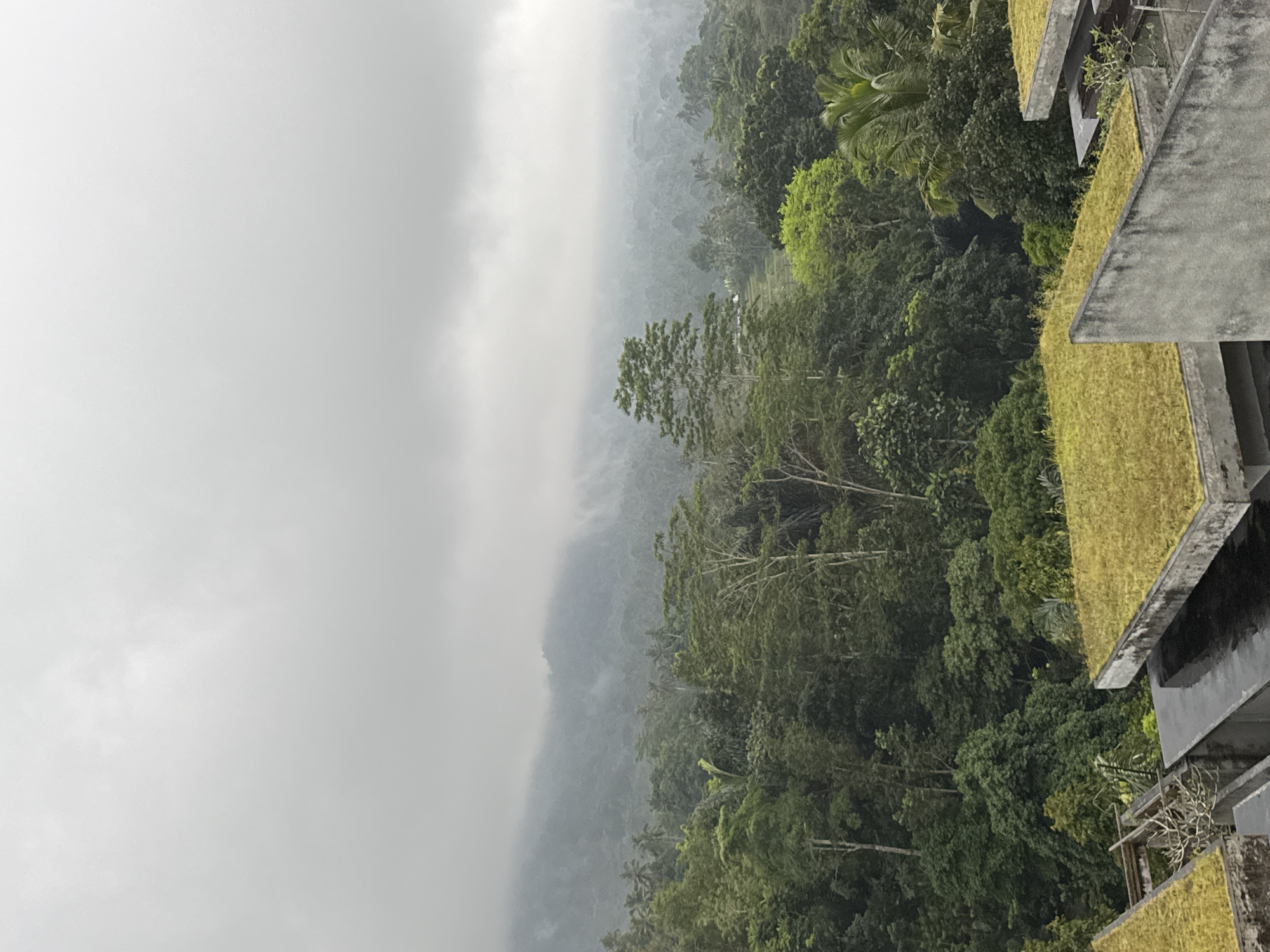 A wide-angle shot captures a misty, overcast view of a lush green jungle, with the upper portions of distant hills shrouded in fog. In the foreground, the tops of several concrete structures with vibrant green, moss-covered roofs are visible. The architecture suggests a modern, possibly resort-like setting integrated with the natural environment. The dense foliage is varied, featuring palm trees interspersed with broader-leafed trees. The overall atmosphere is serene and damp, characteristic of a tropical climate, possibly during or after rainfall. The scene is devoid of any people or discernible actions, focusing purely on the landscape and architectural elements. The location is identified as Bebandem, Indonesia.